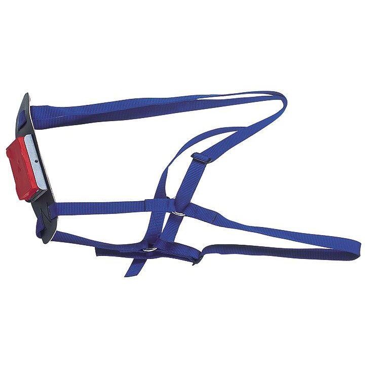 product/k/a/kamer_108605_bleu_1.jpg