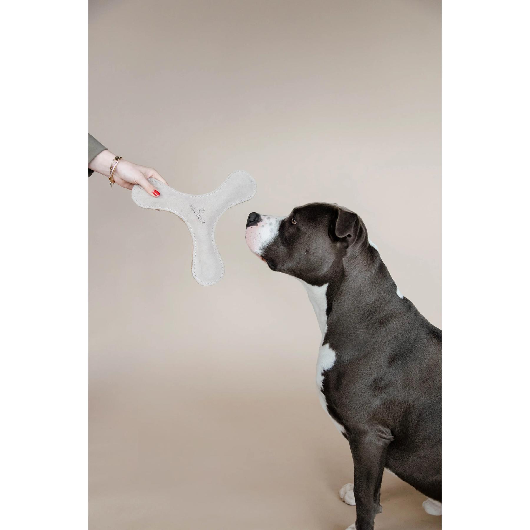 product/k/e/kentucky-dogwear_52503-22_0.jpg