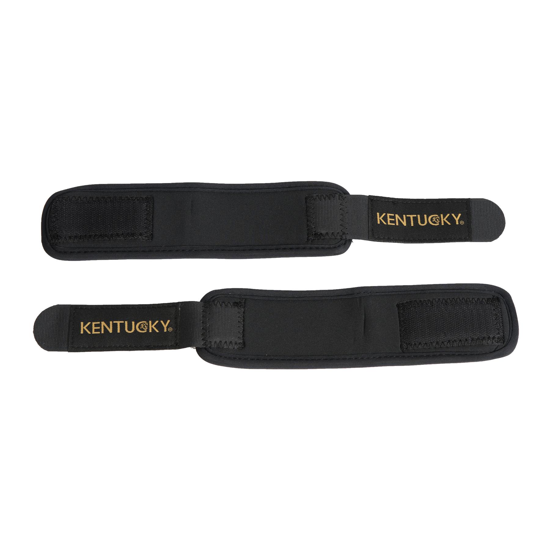 product/k/e/kentucky_42201-01_2.jpg