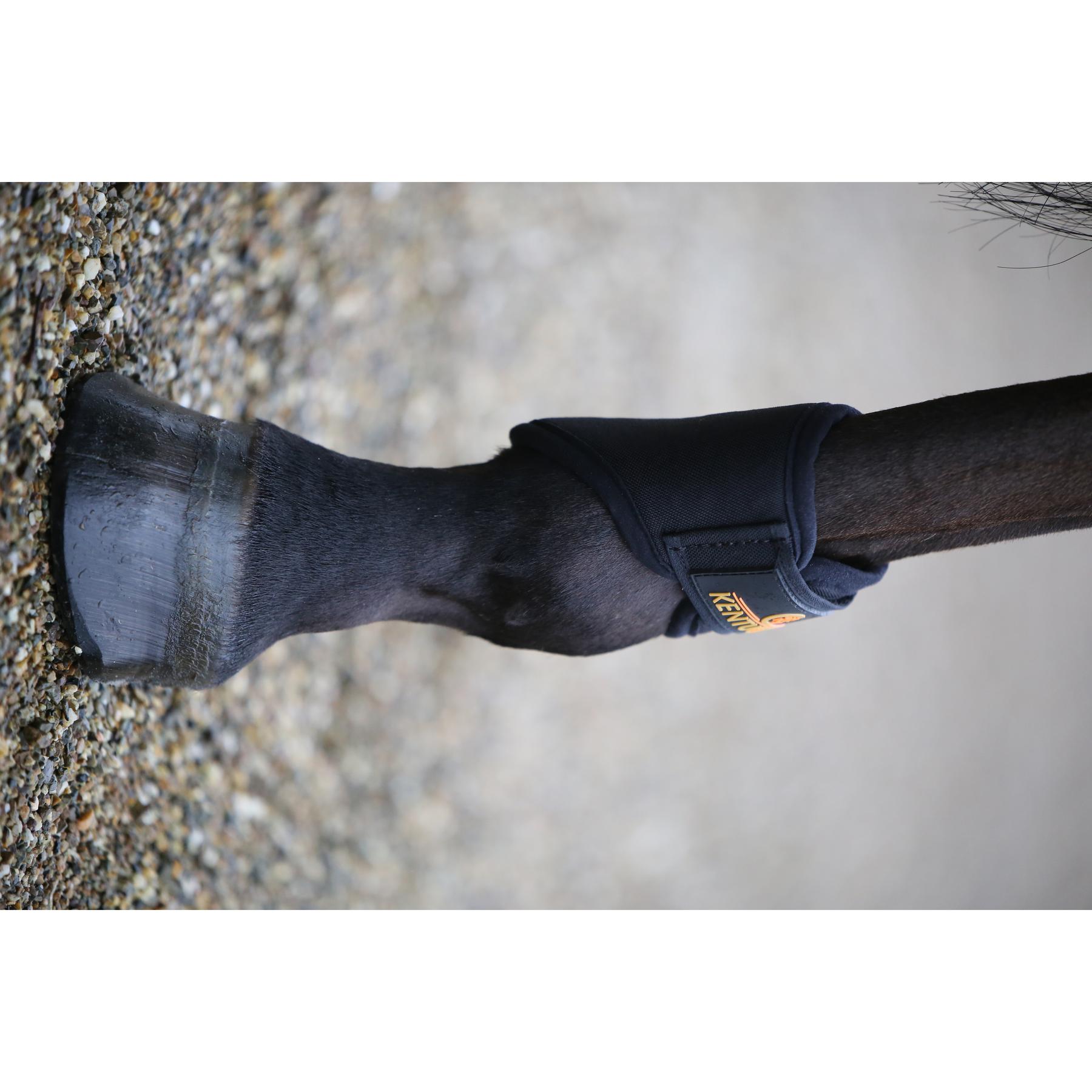 product/k/e/kentucky_42307-01-f_2.jpg