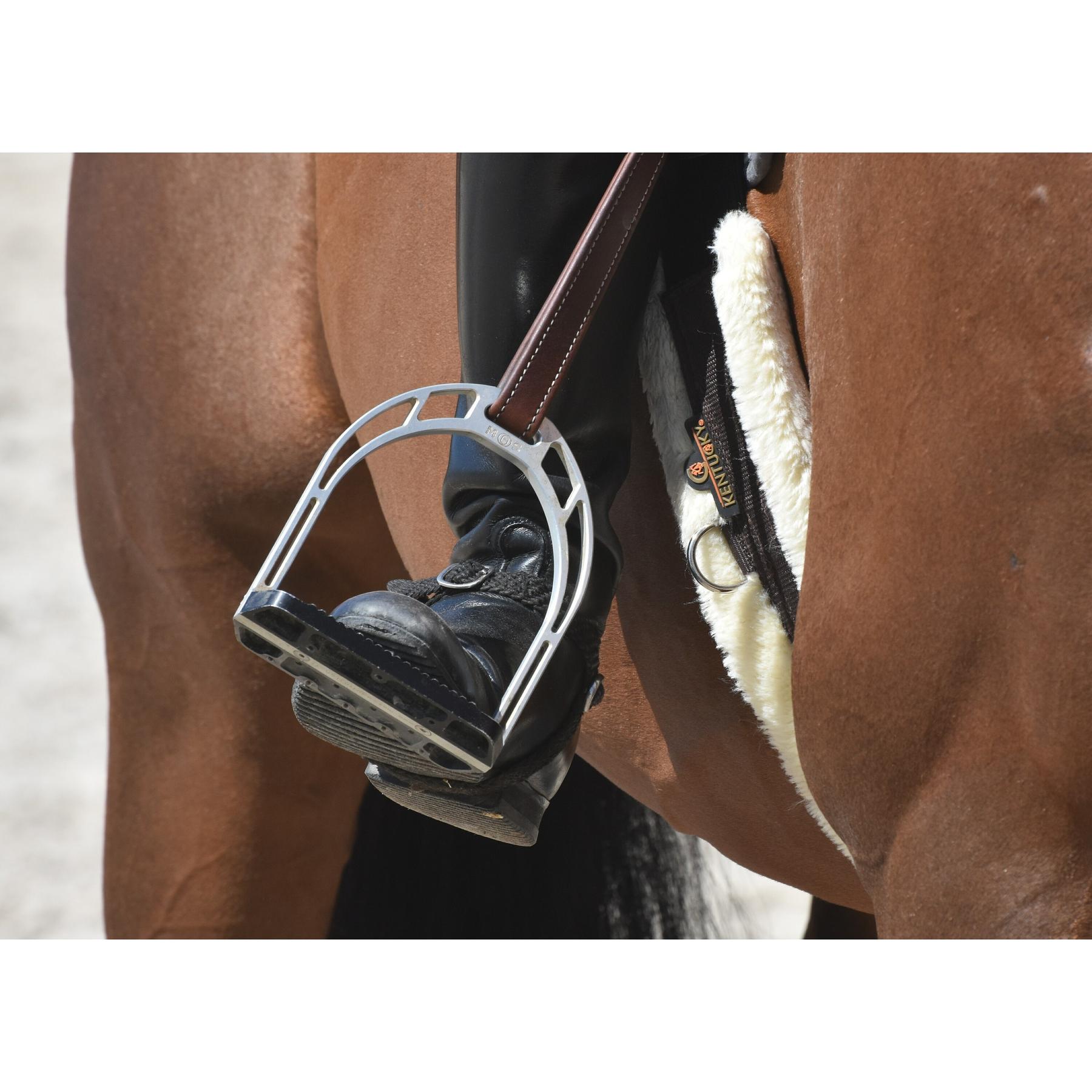 product/k/e/kentucky_42401-01_2.jpg