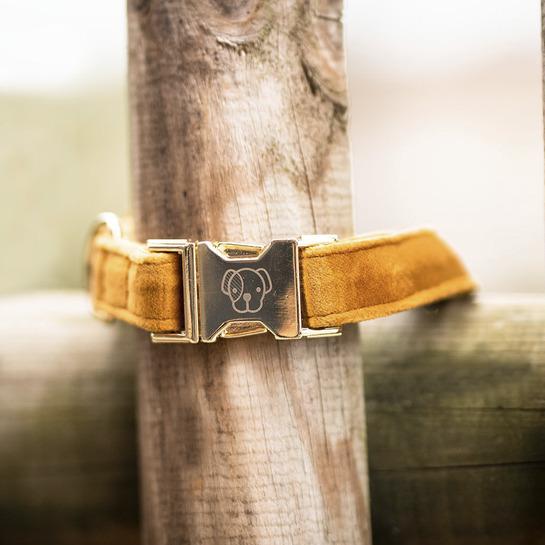 product/k/e/kentucky_42538-44-l_mustard_3.jpg