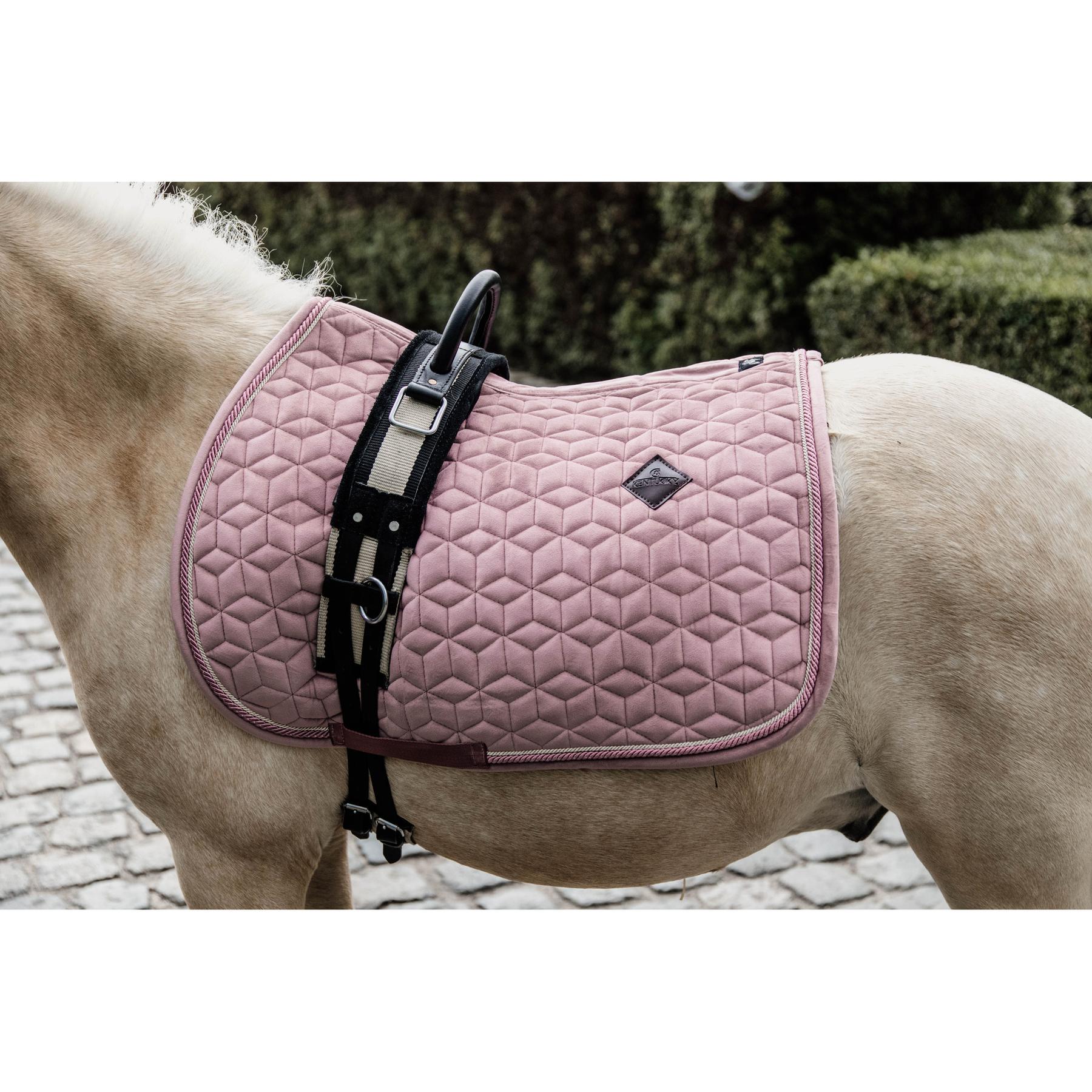 product/k/e/kentucky_42579-10-sj-cob_2.jpg