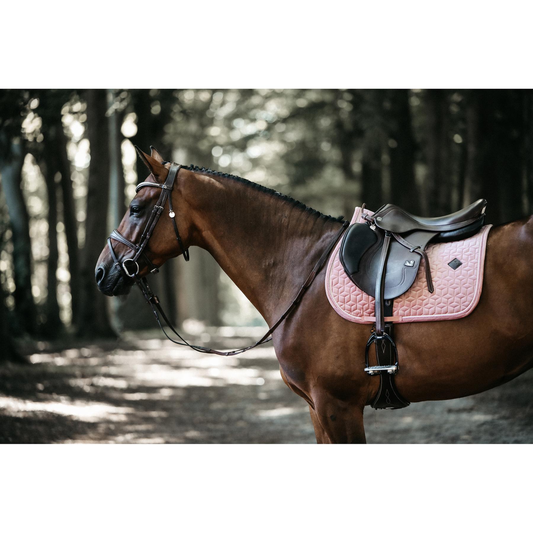product/k/e/kentucky_42579-10-sj-cob_3.jpg
