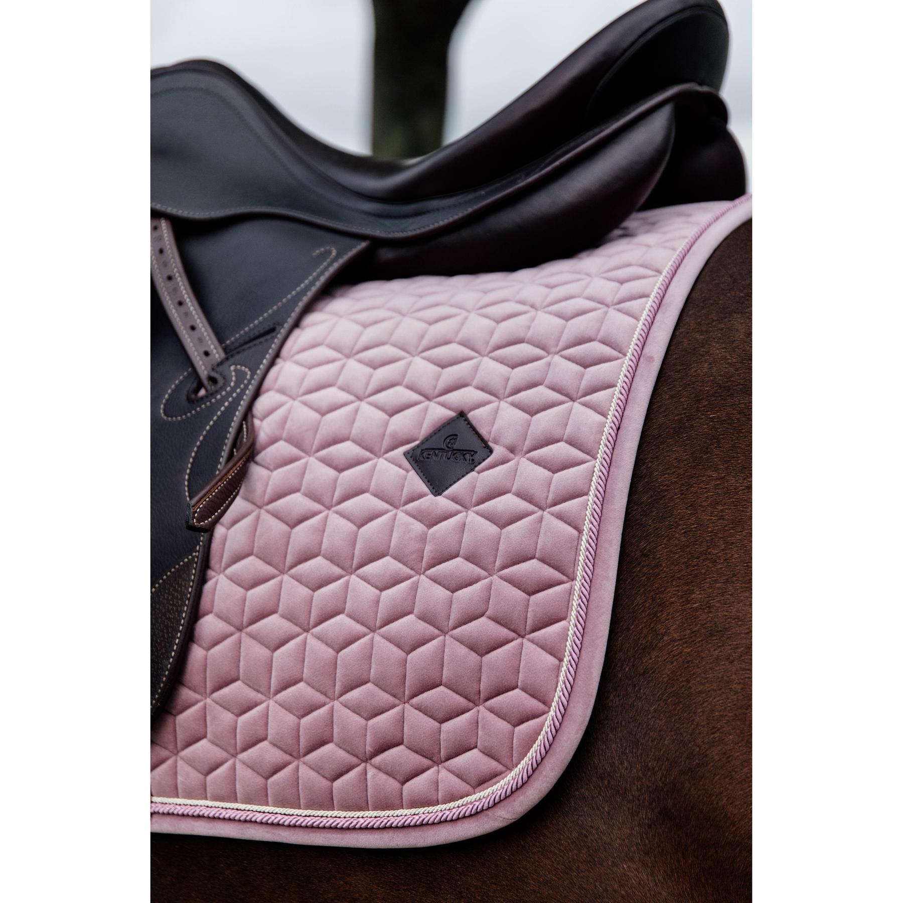 product/k/e/kentucky_42579-10-sj-cob_4.jpg