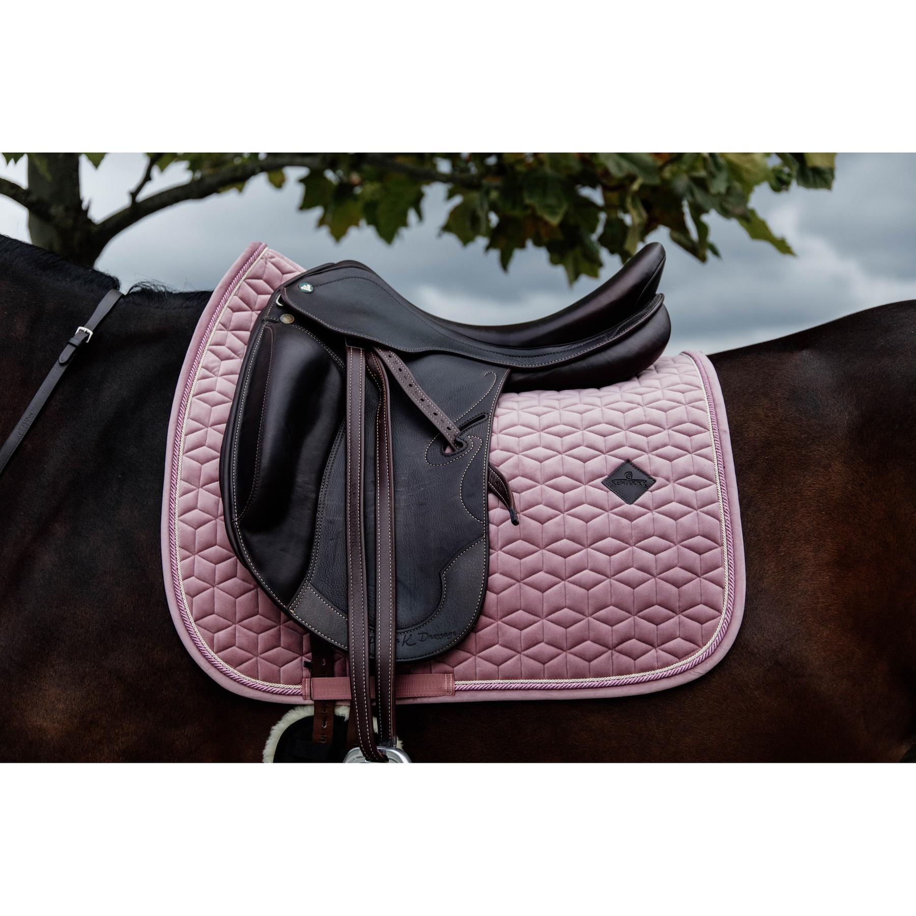 product/k/e/kentucky_42579-10-sj-cob_5.jpg