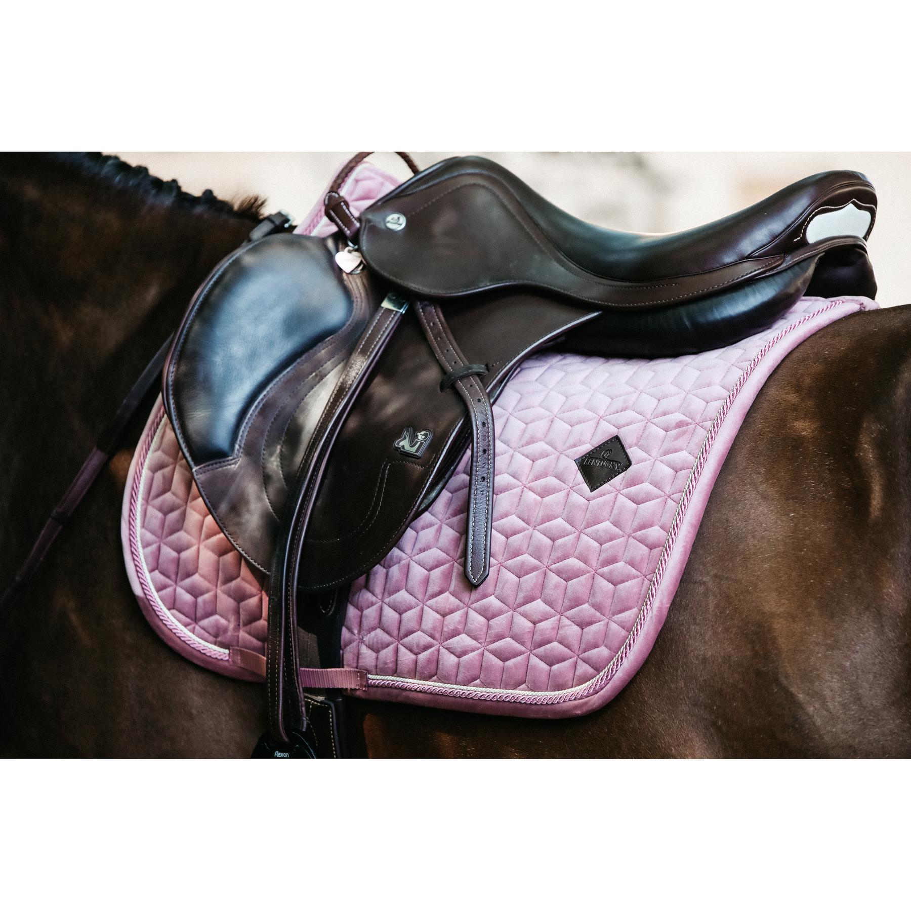 product/k/e/kentucky_42579-10-sj-cob_7.jpg