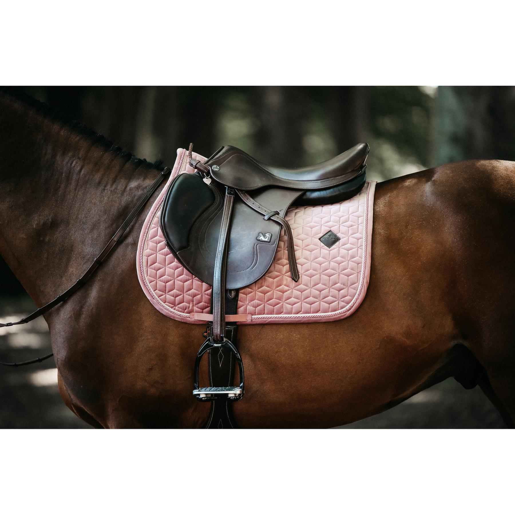 product/k/e/kentucky_42579-10-sj-cob_8.jpg