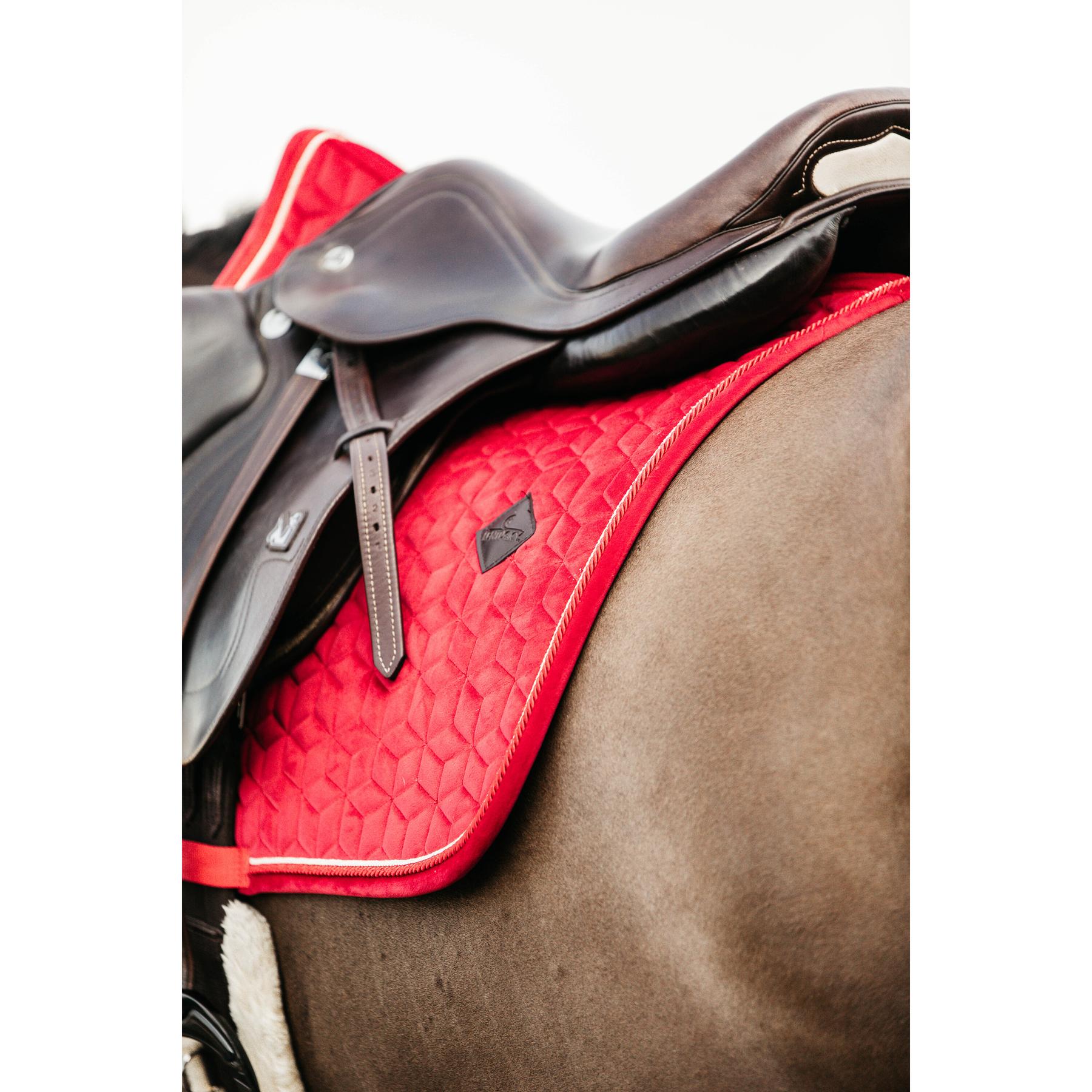 product/k/e/kentucky_42579-13-p.jpg