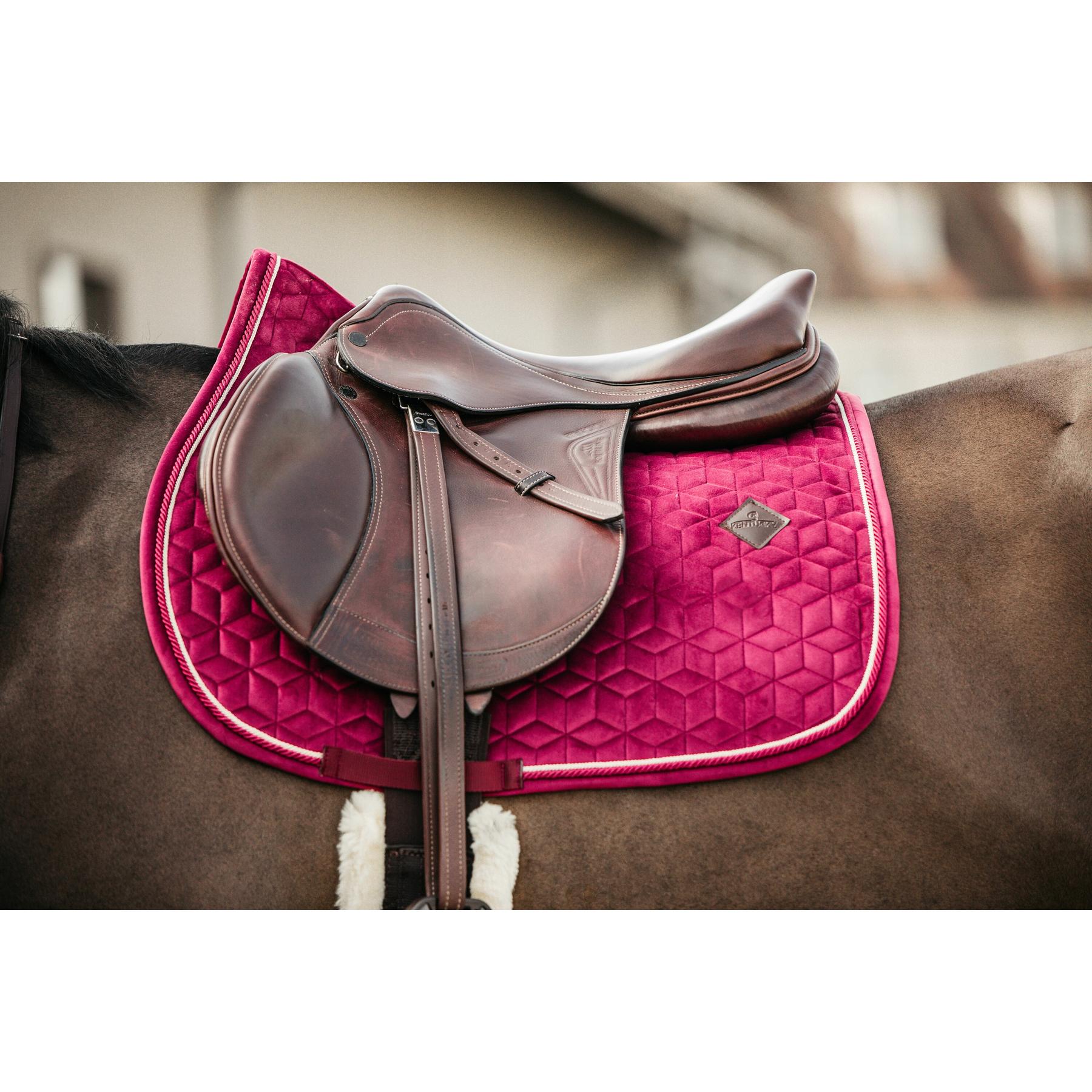 product/k/e/kentucky_42579-16_2.jpg