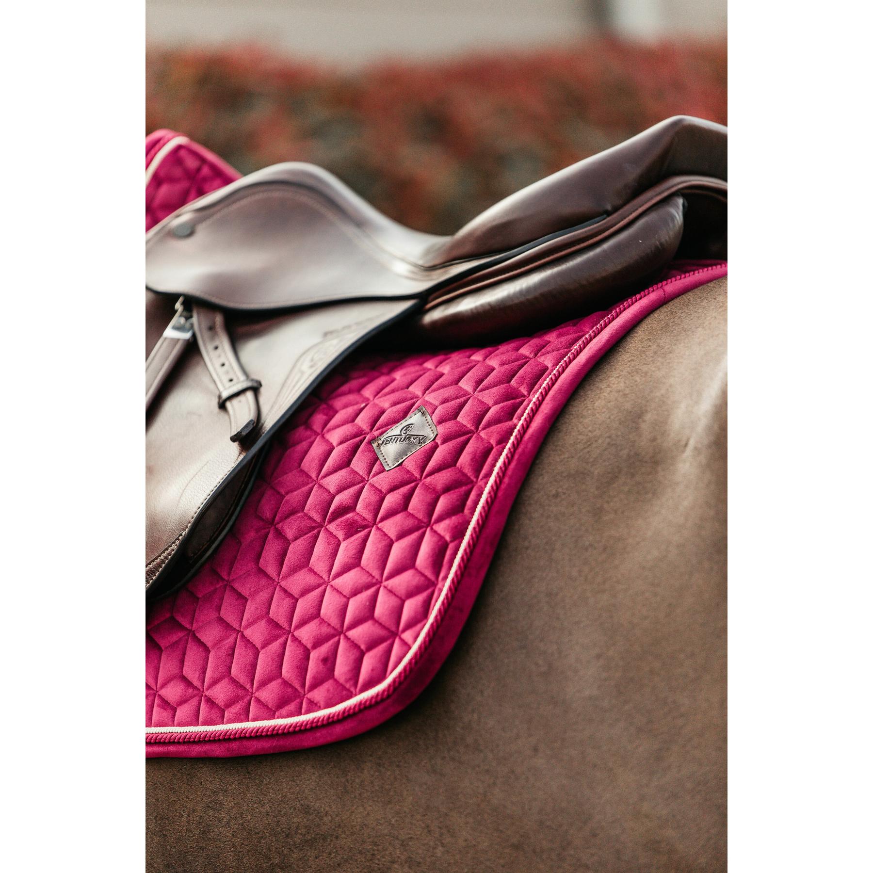 product/k/e/kentucky_42579-16_3.jpg