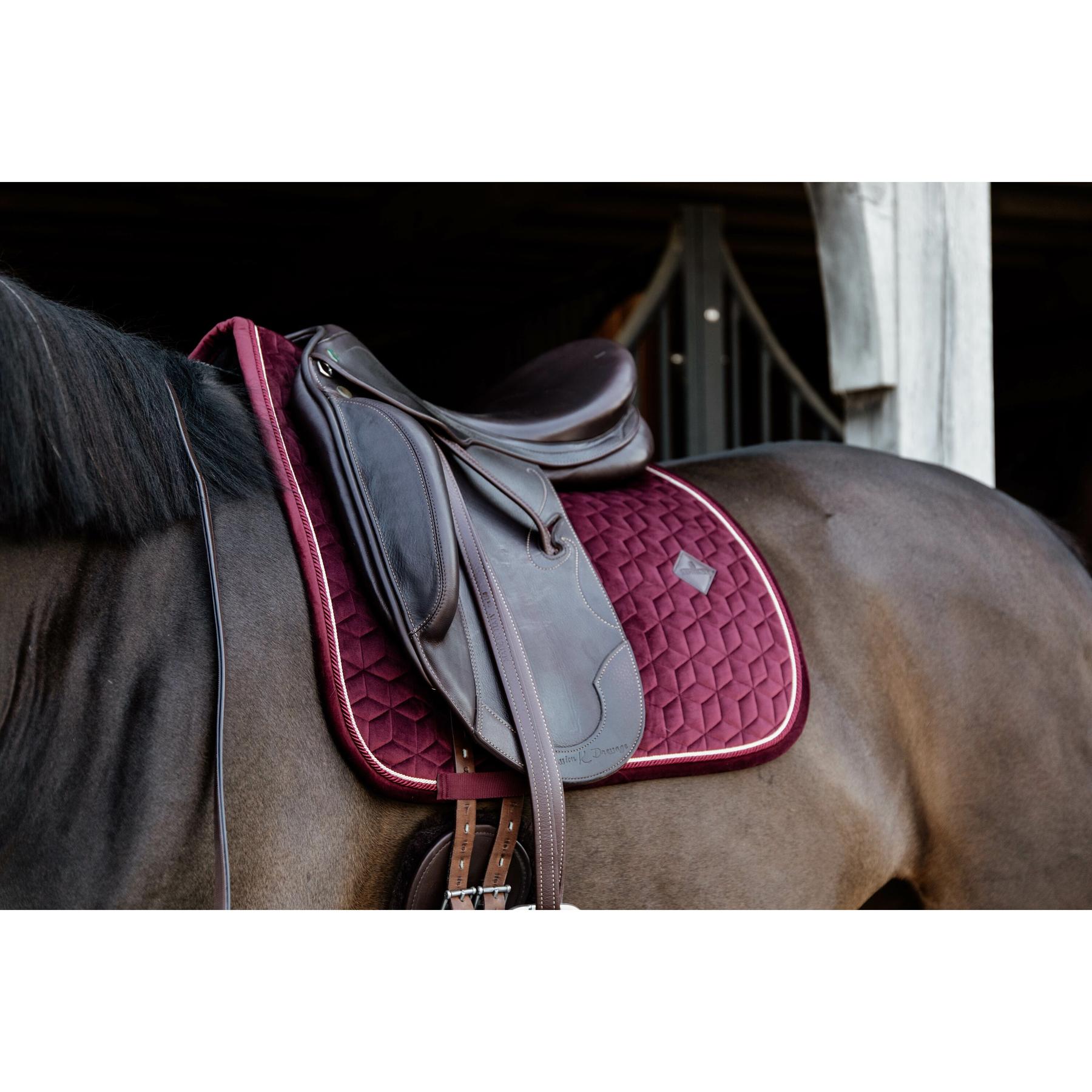 product/k/e/kentucky_42579-17_2.jpg