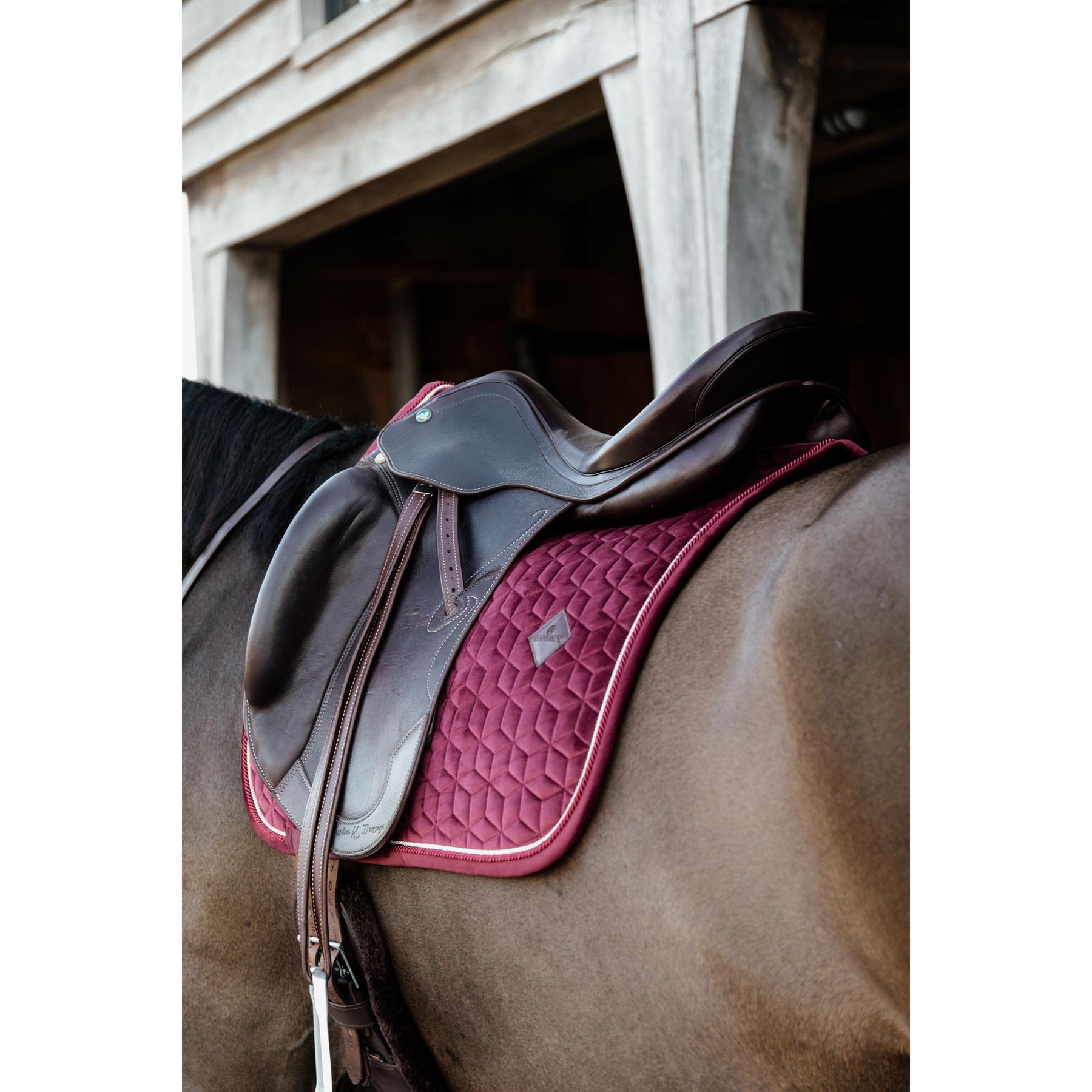 product/k/e/kentucky_42579-17_3.jpg