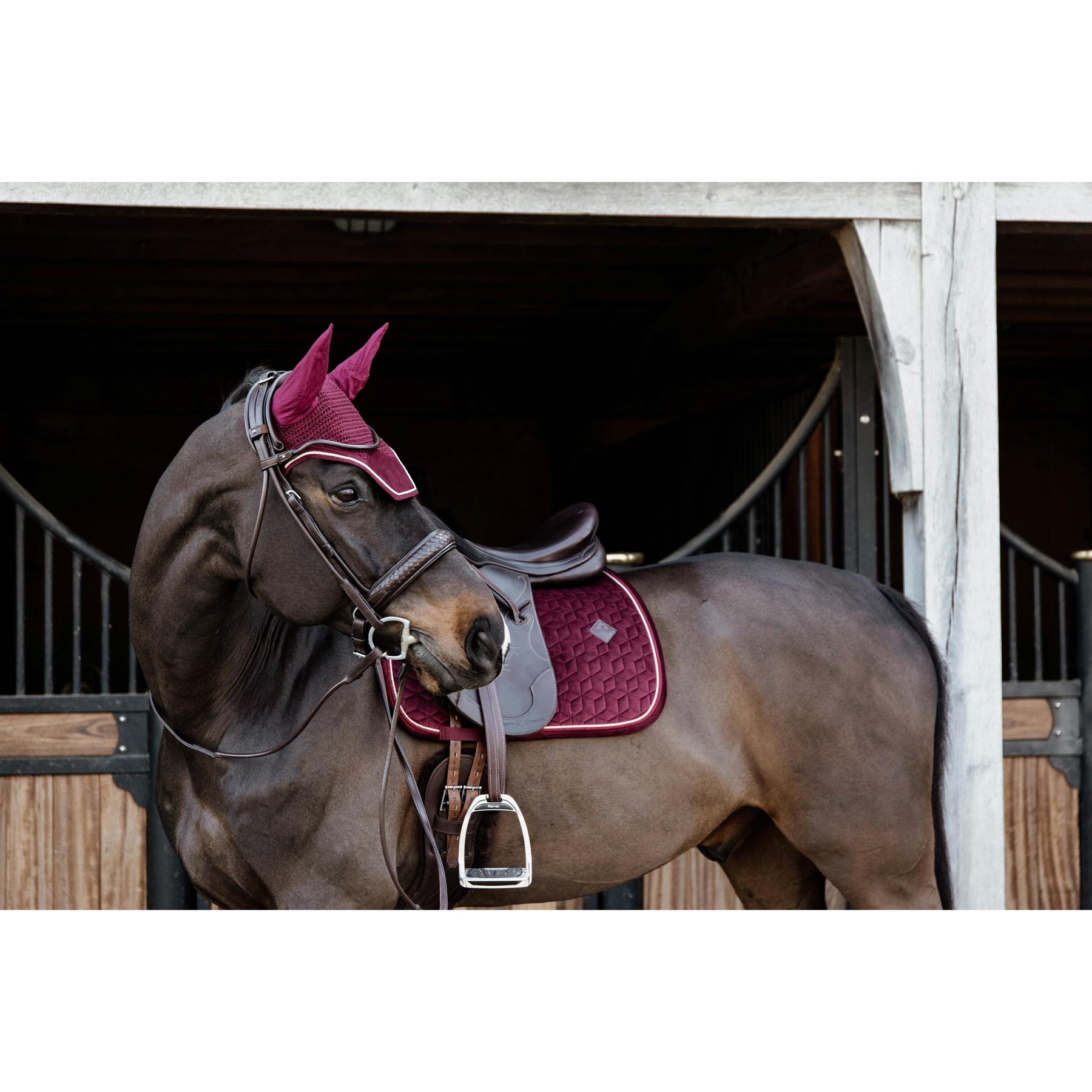 product/k/e/kentucky_42579-17_4.jpg