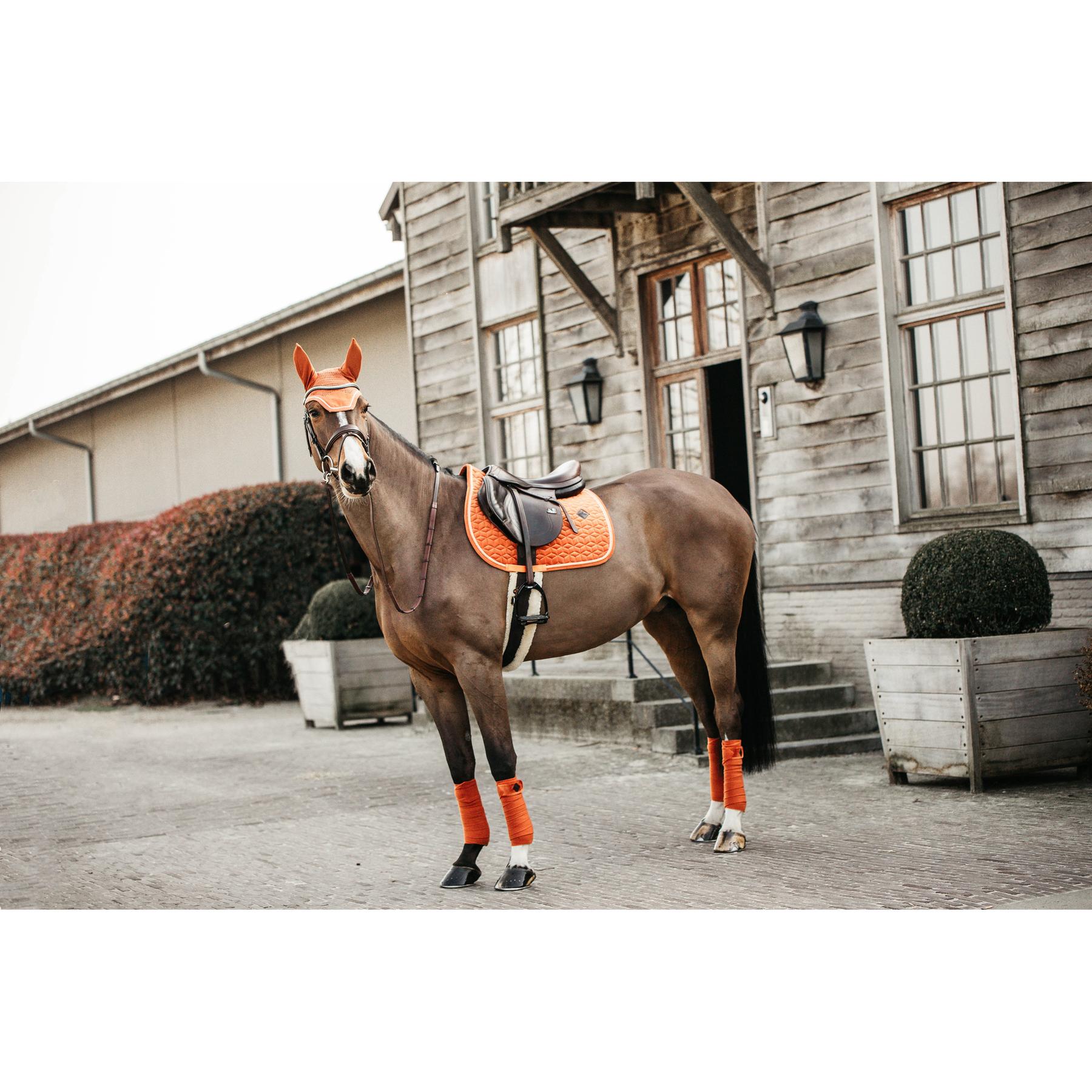 product/k/e/kentucky_42579-45-p_0.jpg