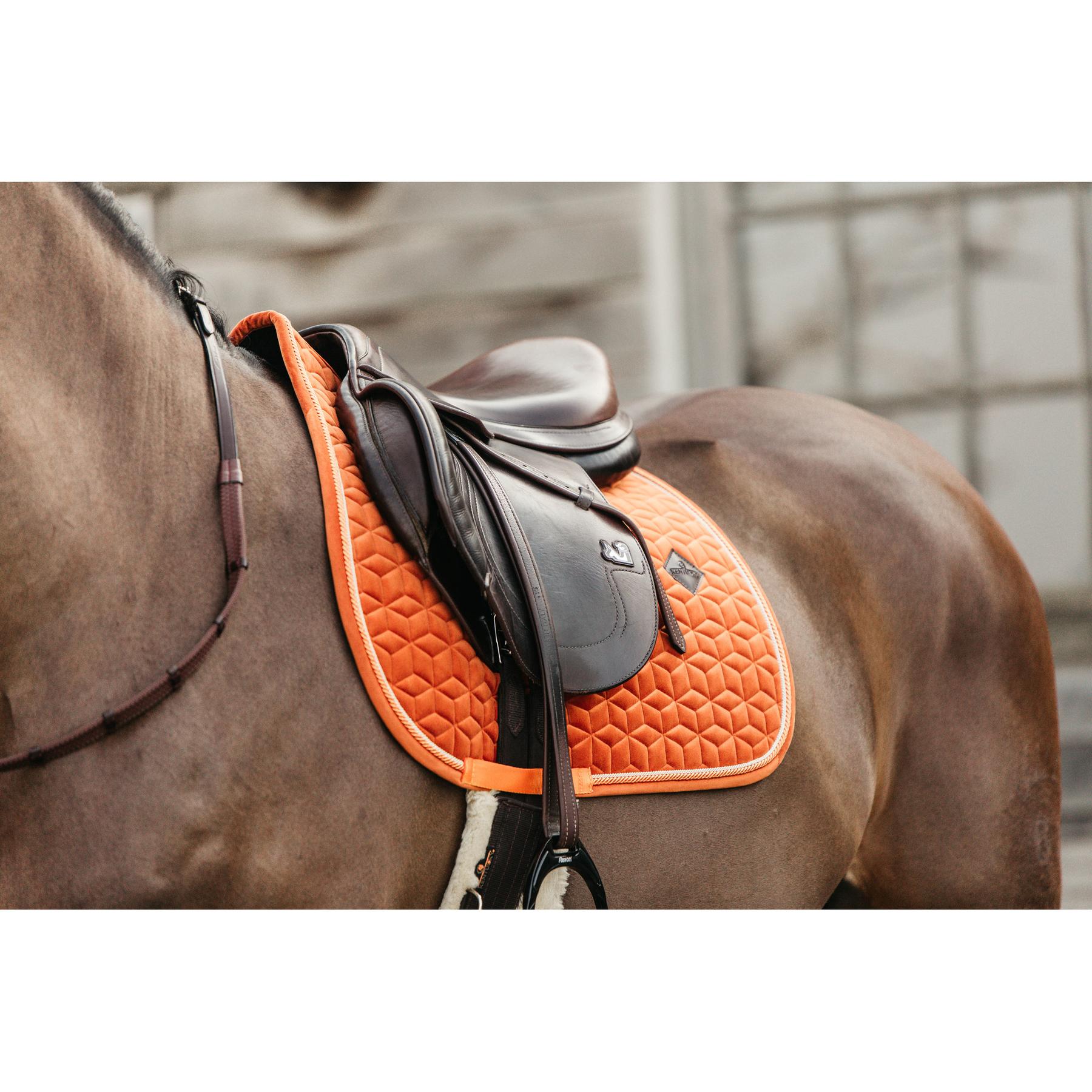 product/k/e/kentucky_42579-45-p_4.jpg