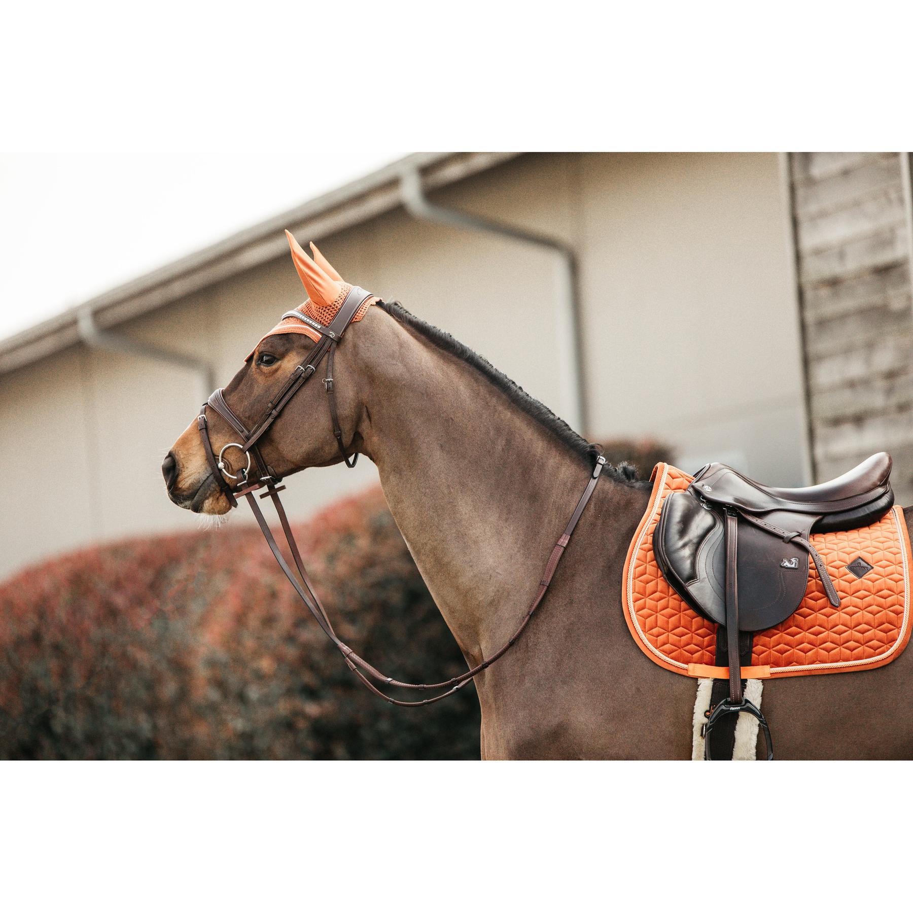product/k/e/kentucky_42579-45-p_7.jpg