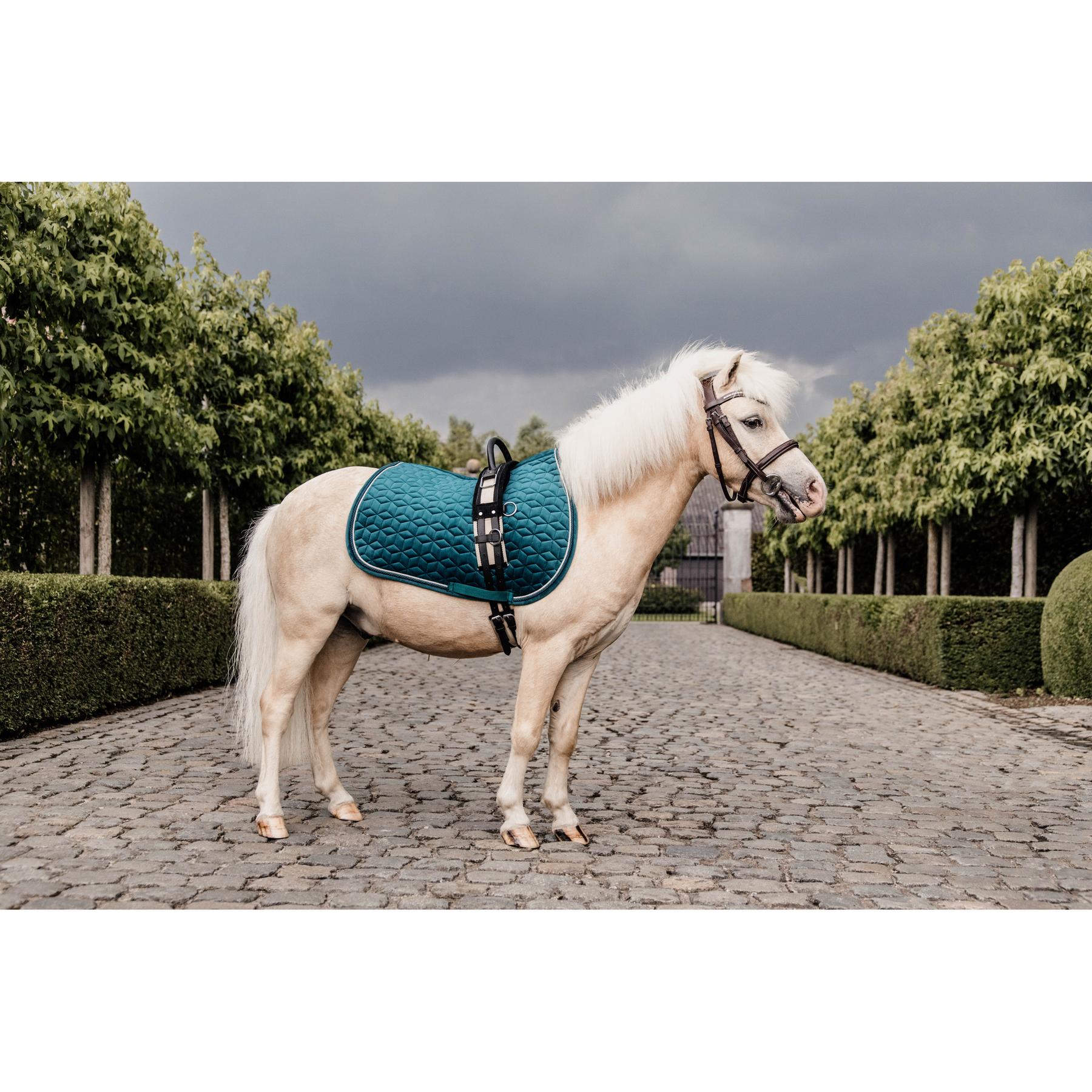 product/k/e/kentucky_42579-71-sj-cob_0.jpg