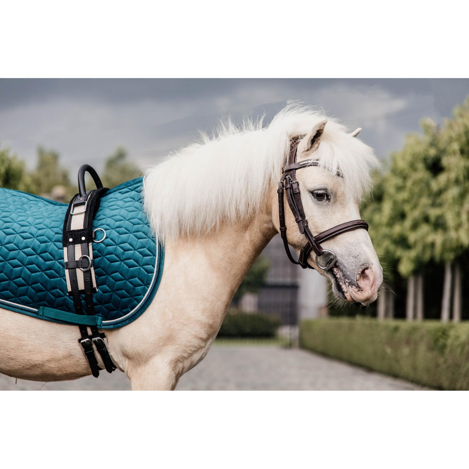 product/k/e/kentucky_42579-71-sj-cob_1.jpg