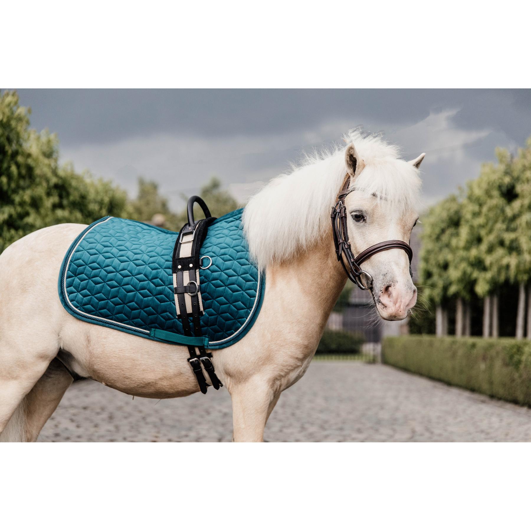 product/k/e/kentucky_42579-71-sj-cob_3.jpg