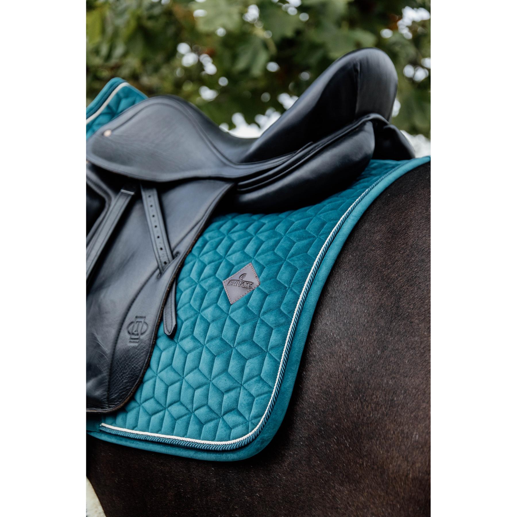 product/k/e/kentucky_42579-71-sj-cob_4.jpg