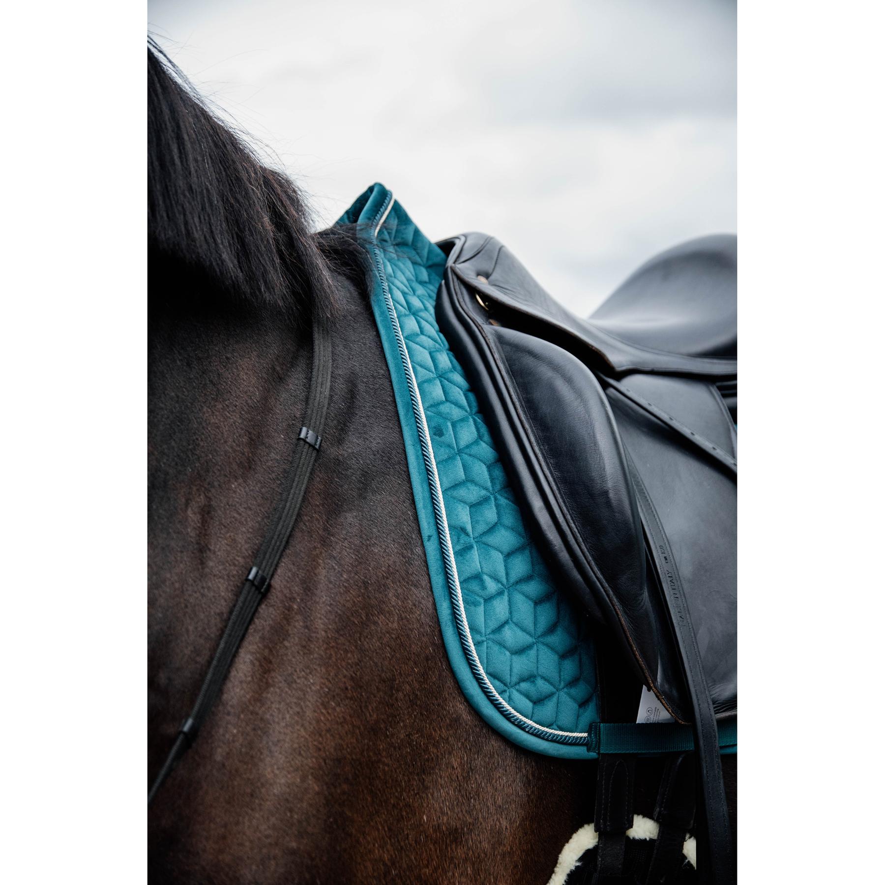 product/k/e/kentucky_42579-71-sj-cob_7.jpg