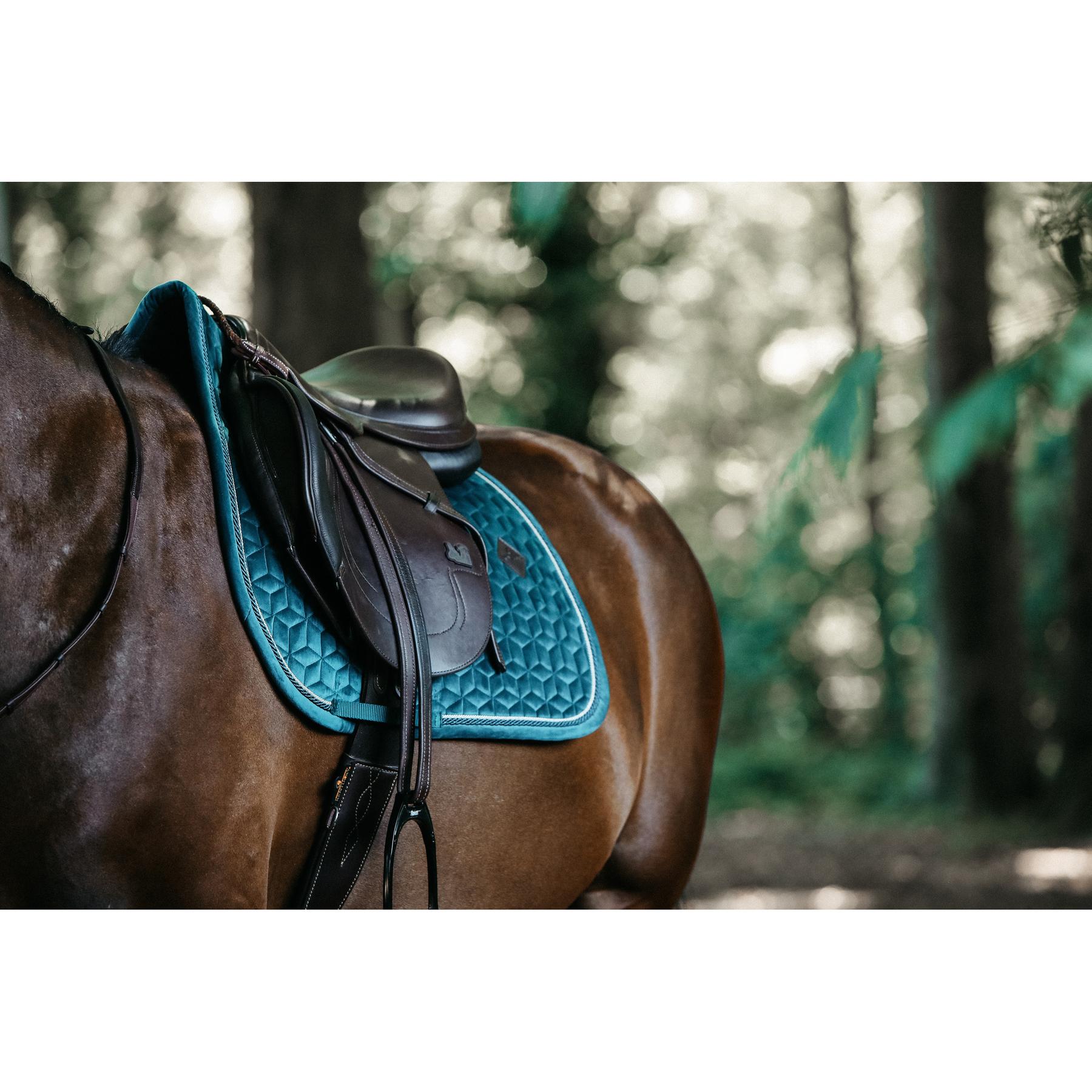 product/k/e/kentucky_42579-71-sj-cob_9.jpg