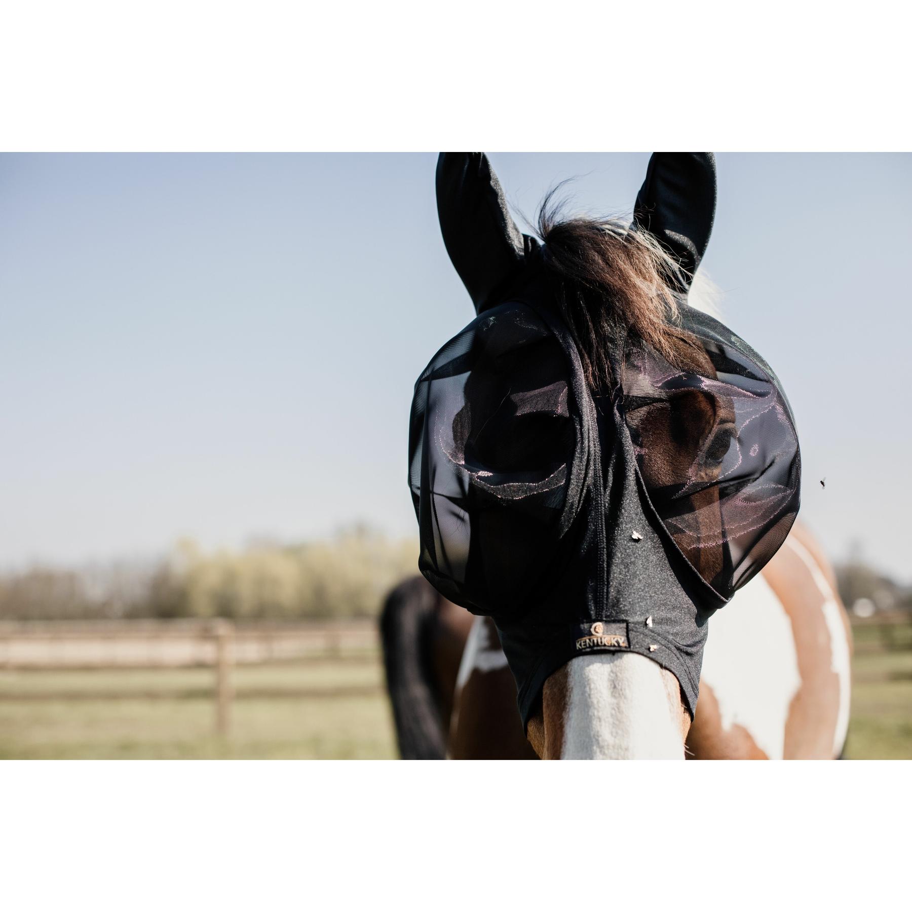 product/k/e/kentucky_42604-01_3.jpg