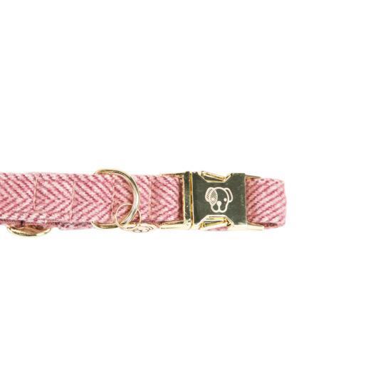 product/k/e/kentucky_42632-10-l_rose_2.jpg