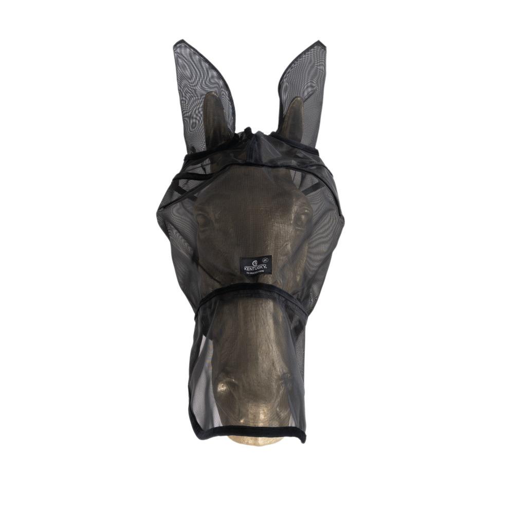product/k/e/kentucky_42644-01-cob_0.jpg