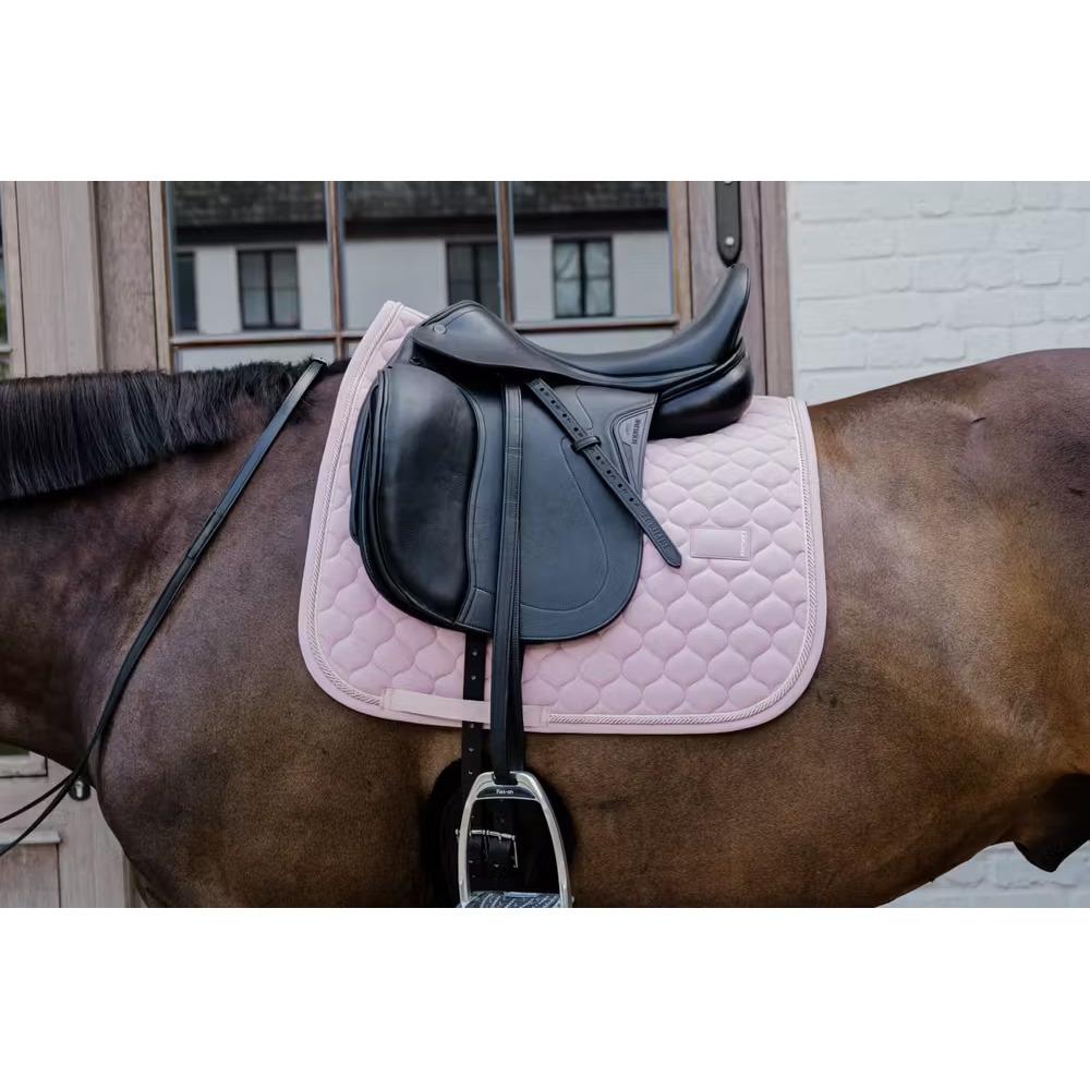 product/k/e/kentucky_42727-50-dr_rose-clair_1.jpg