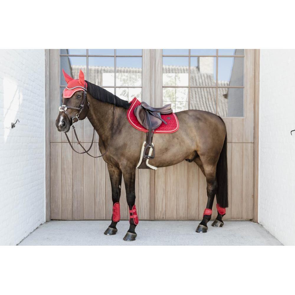 product/k/e/kentucky_88105-13-s_4.jpg