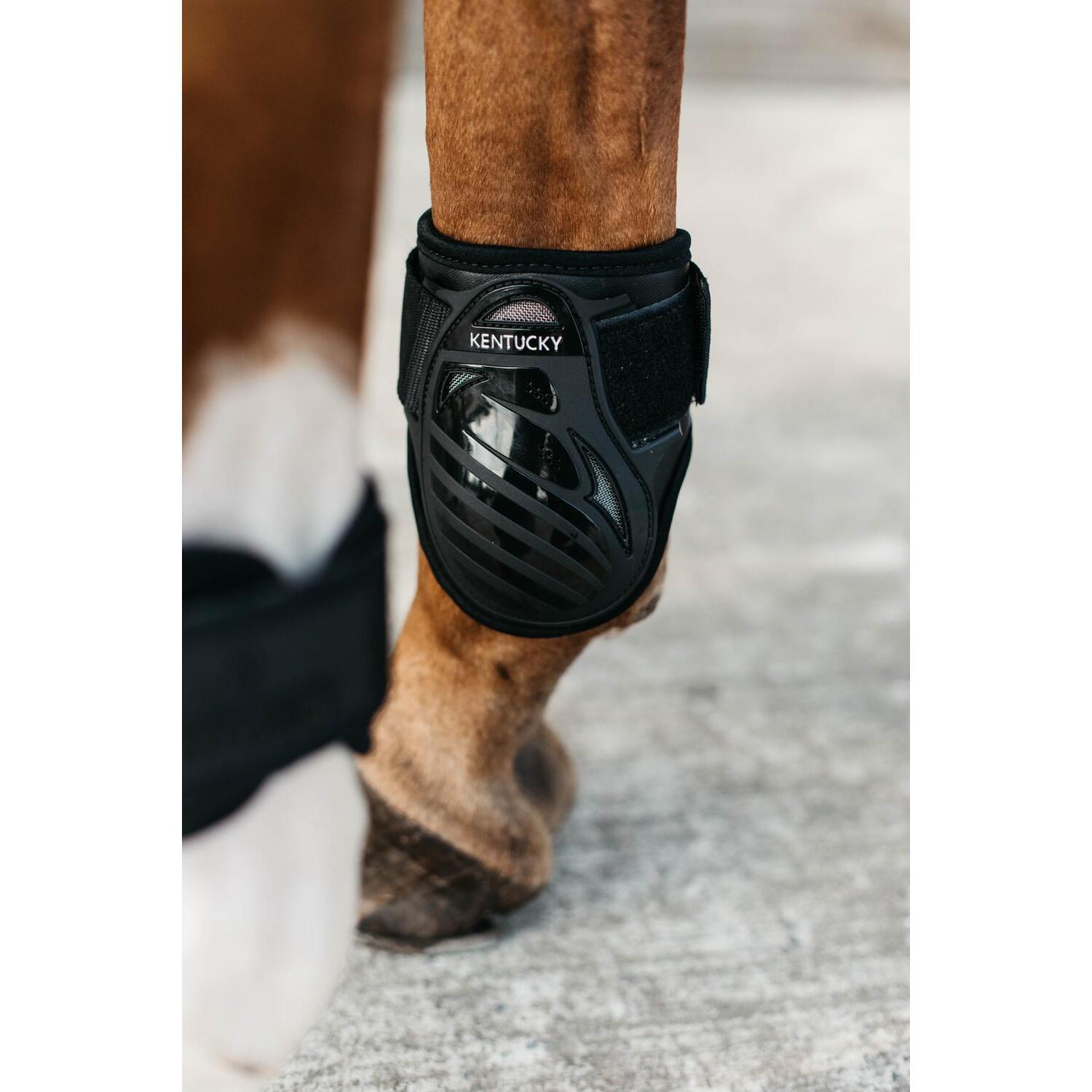 product/k/e/kentucky_88201-01-xs_1.jpg