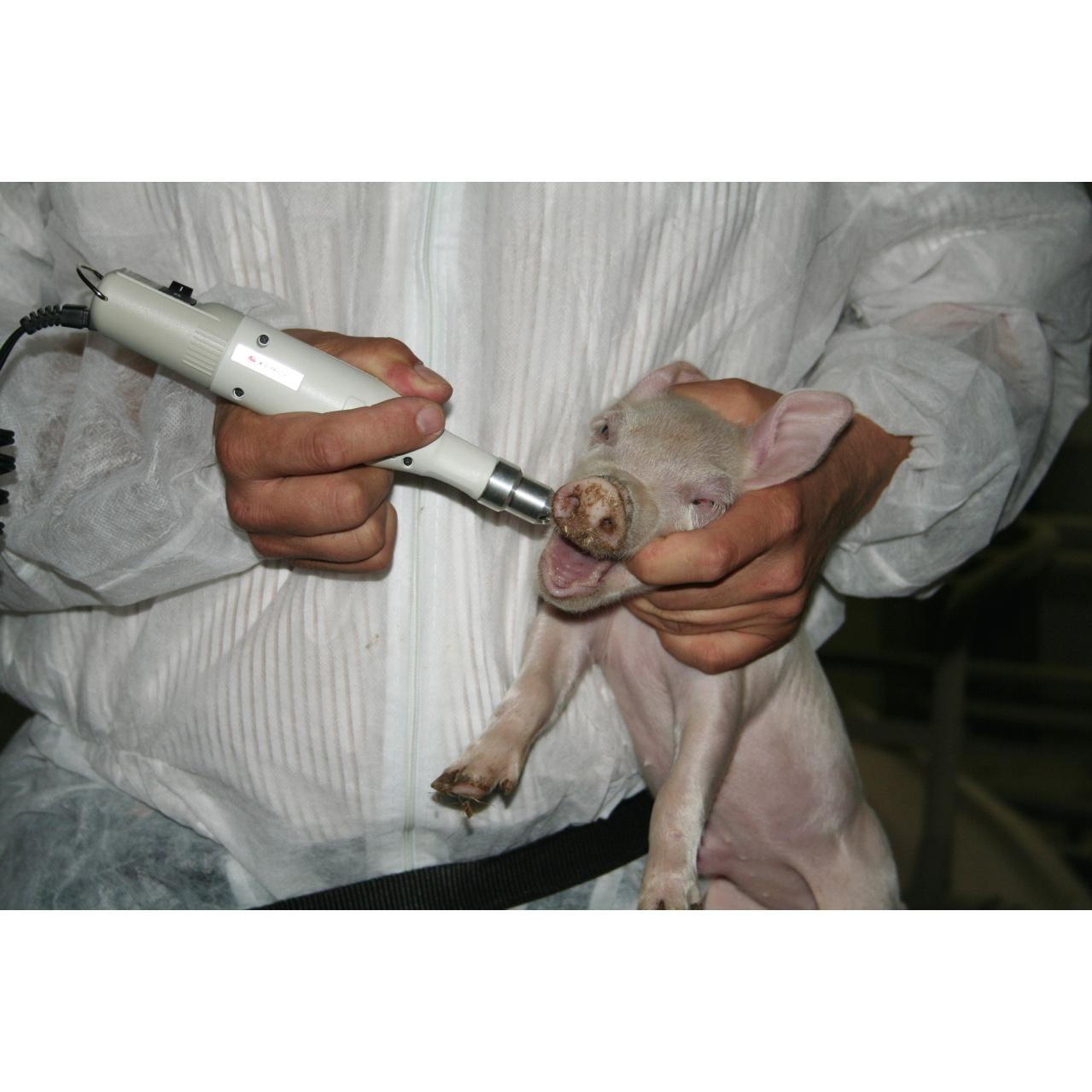 product/k/e/kerbl_22655_blanc_2.jpg