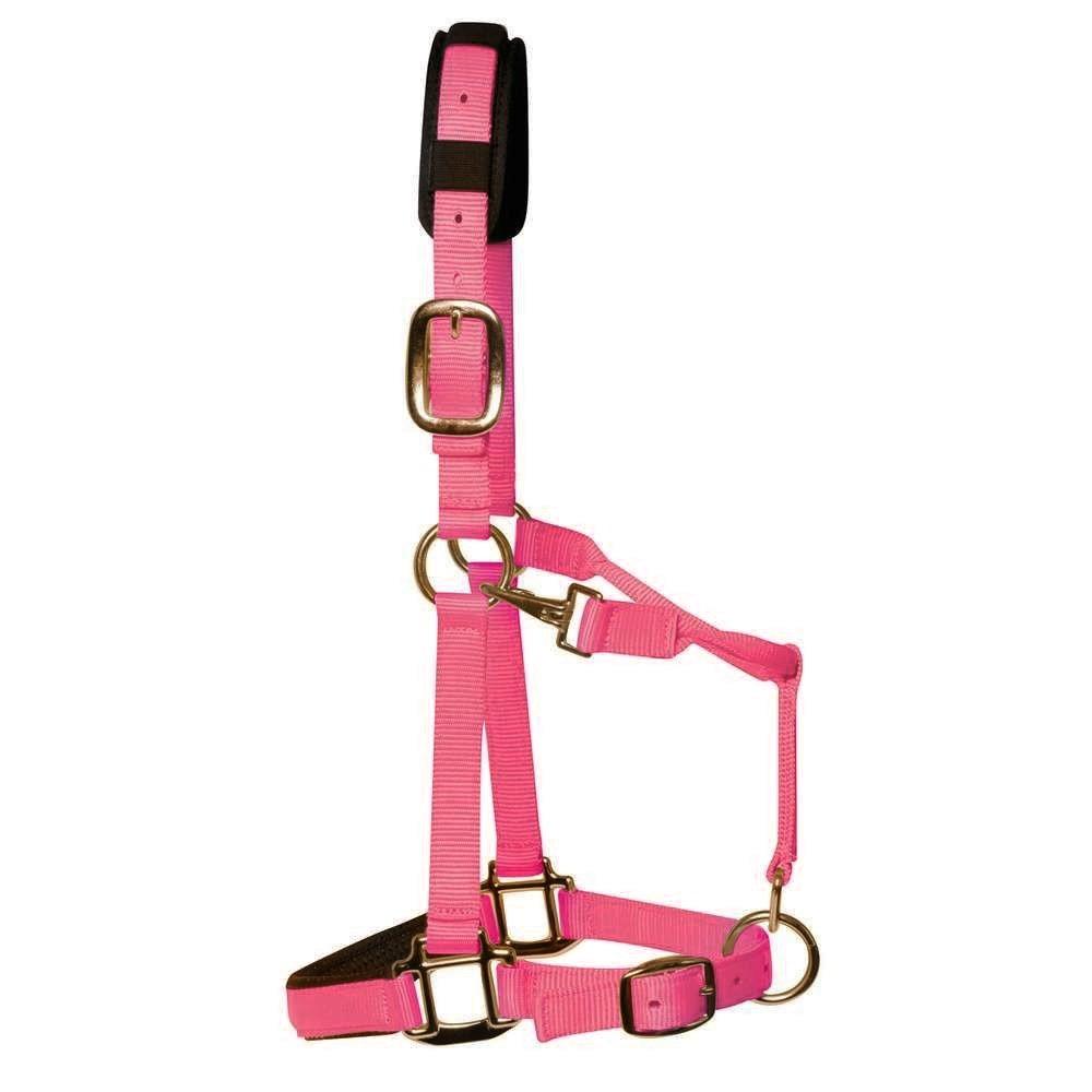 product/k/m/km-elite_hpic_pink_1.jpg