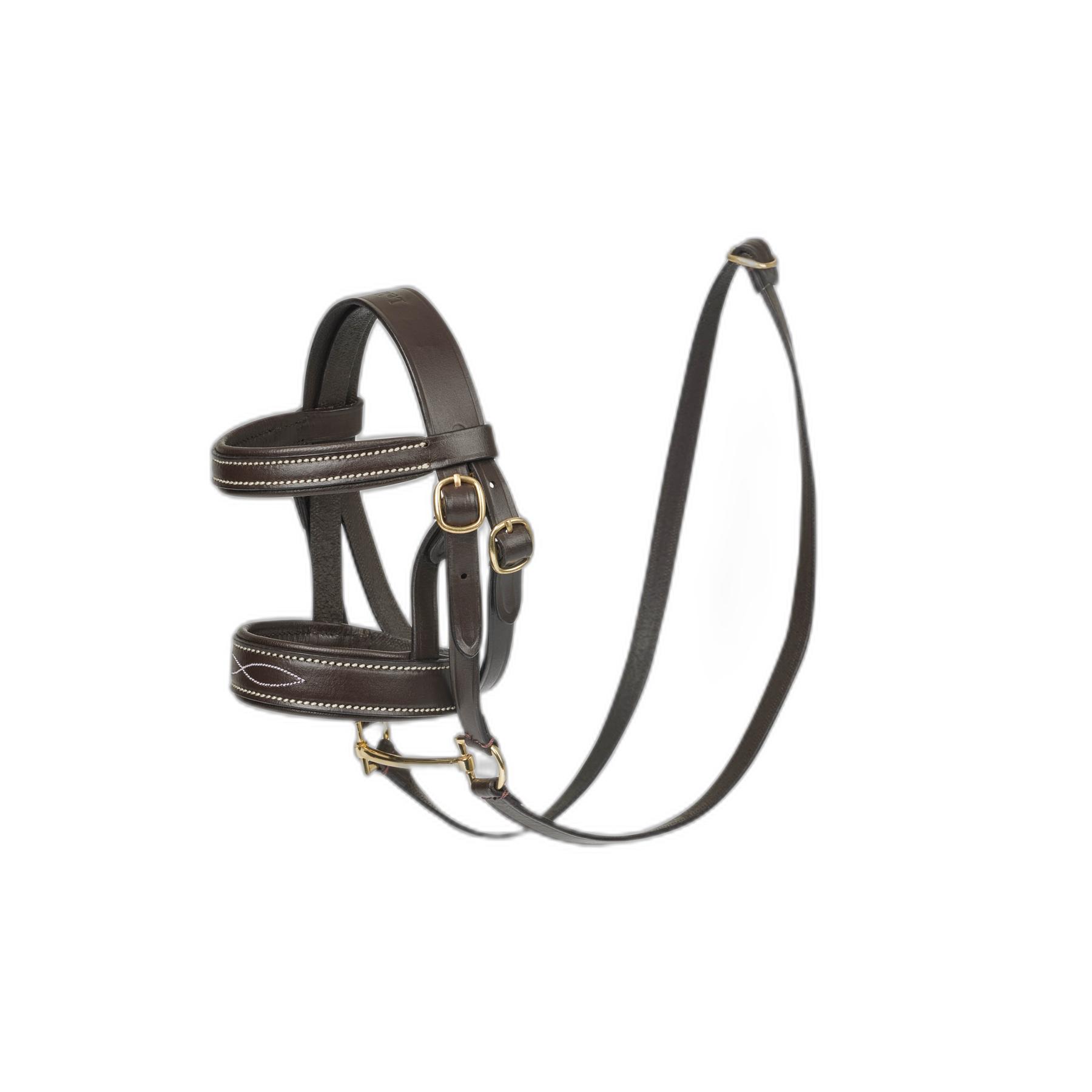 product/l/e/lemieux_it03312001_0.jpg