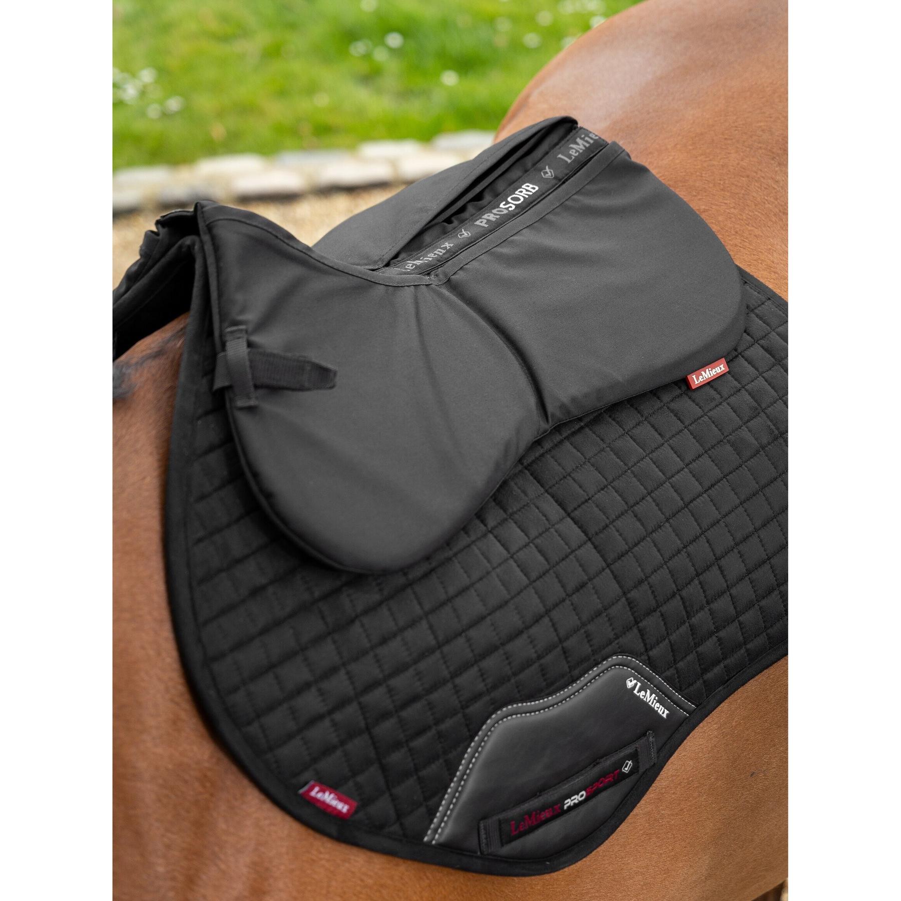 product/l/e/lemieux_it04893004_1.jpg