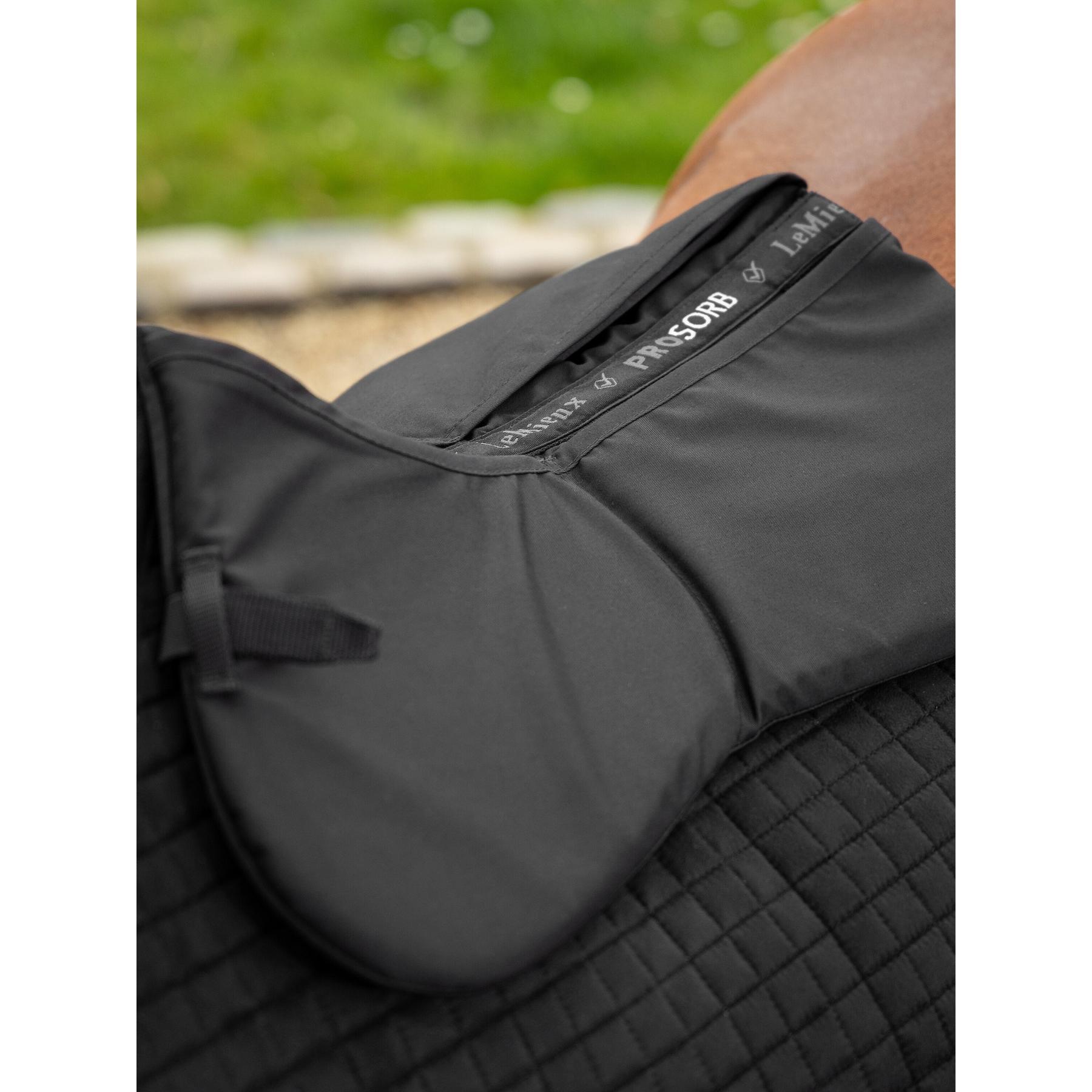 product/l/e/lemieux_it04893004_7.jpg
