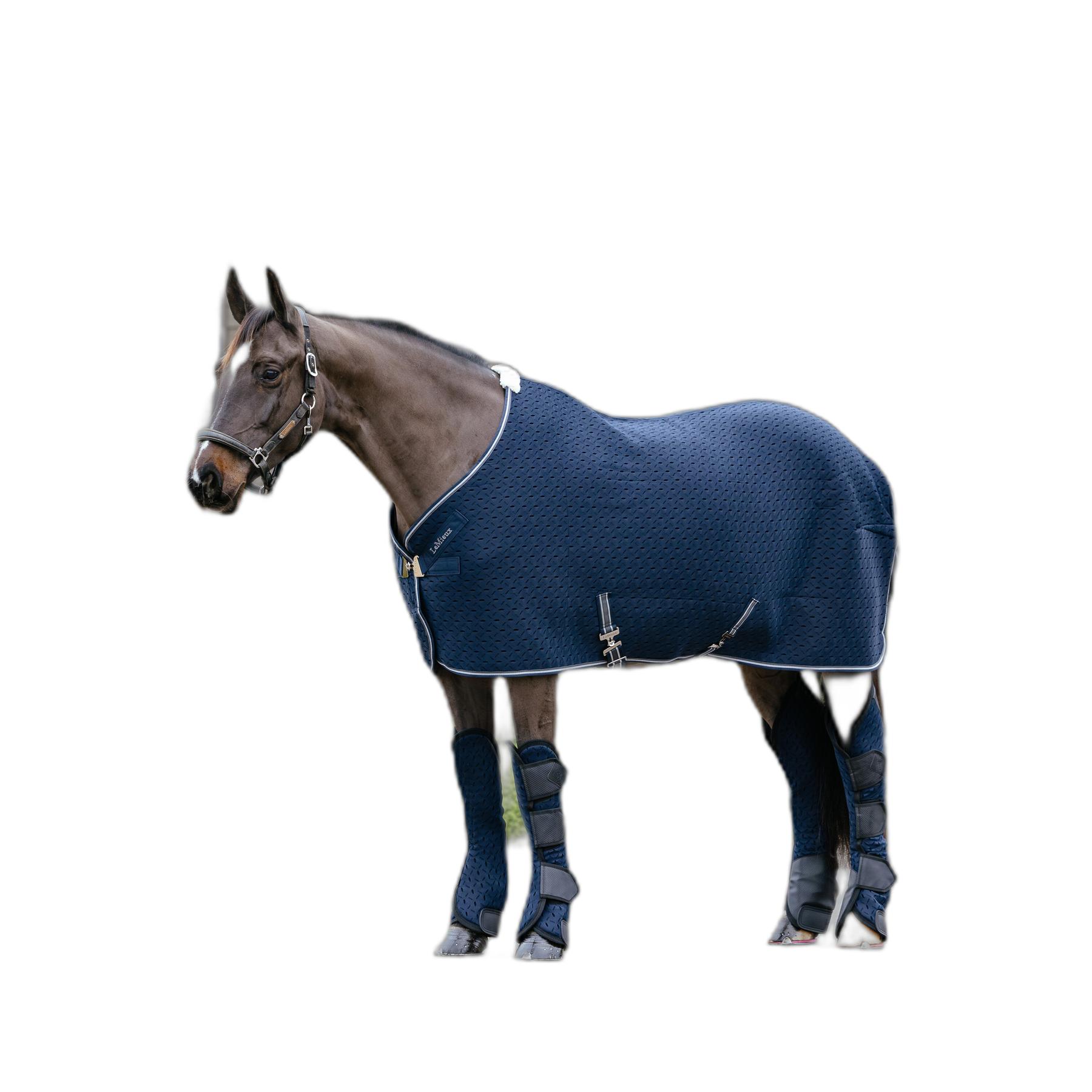 product/l/e/lemieux_it05032007_navy_2.jpg
