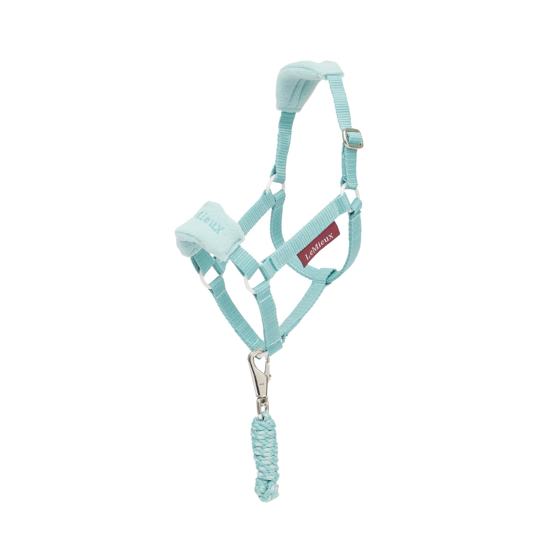 product/l/e/lemieux_it06248001_lagoon_1.jpg