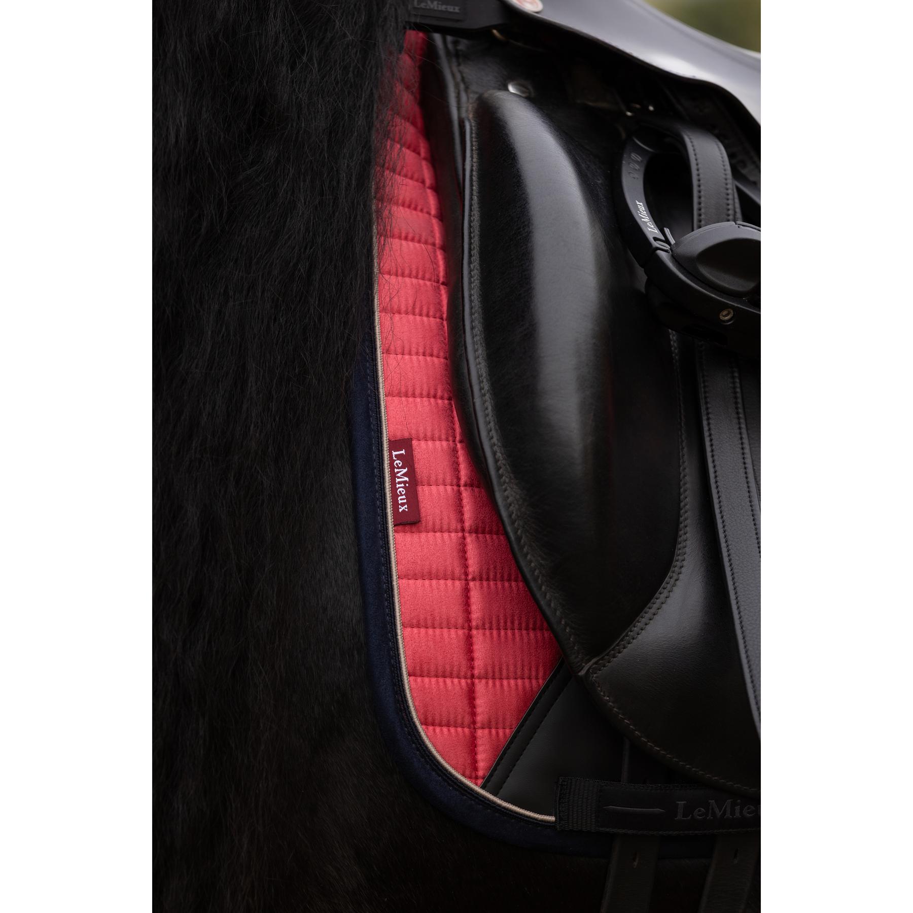 product/l/e/lemieux_it07093_003.jpg