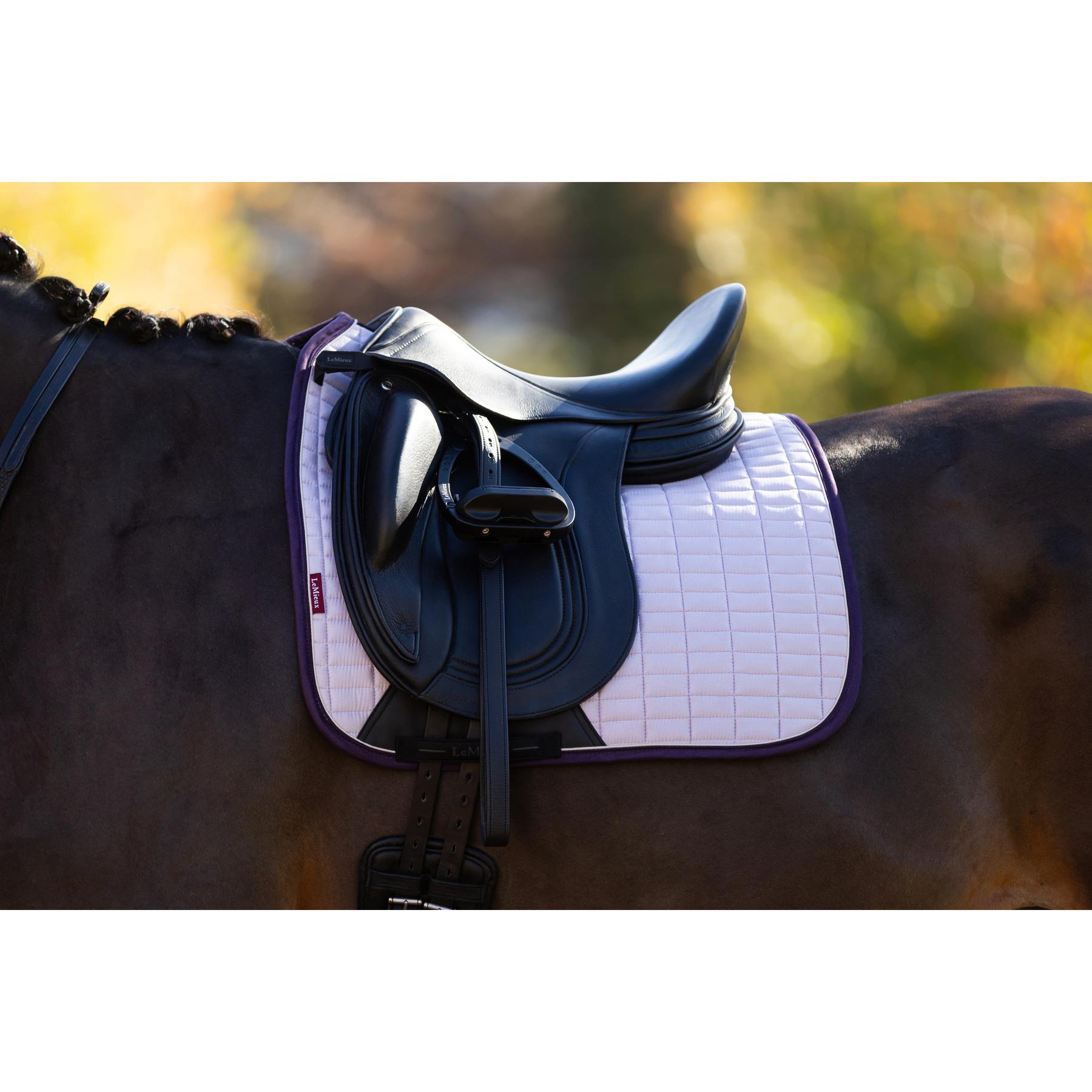 product/l/e/lemieux_it07094_007.jpg