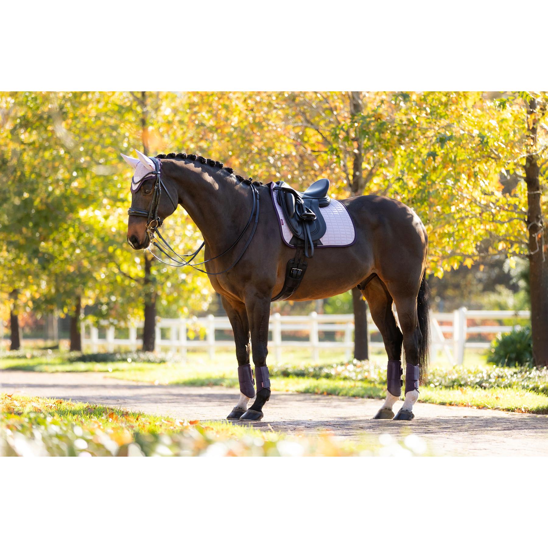 product/l/e/lemieux_it07094_012.jpg