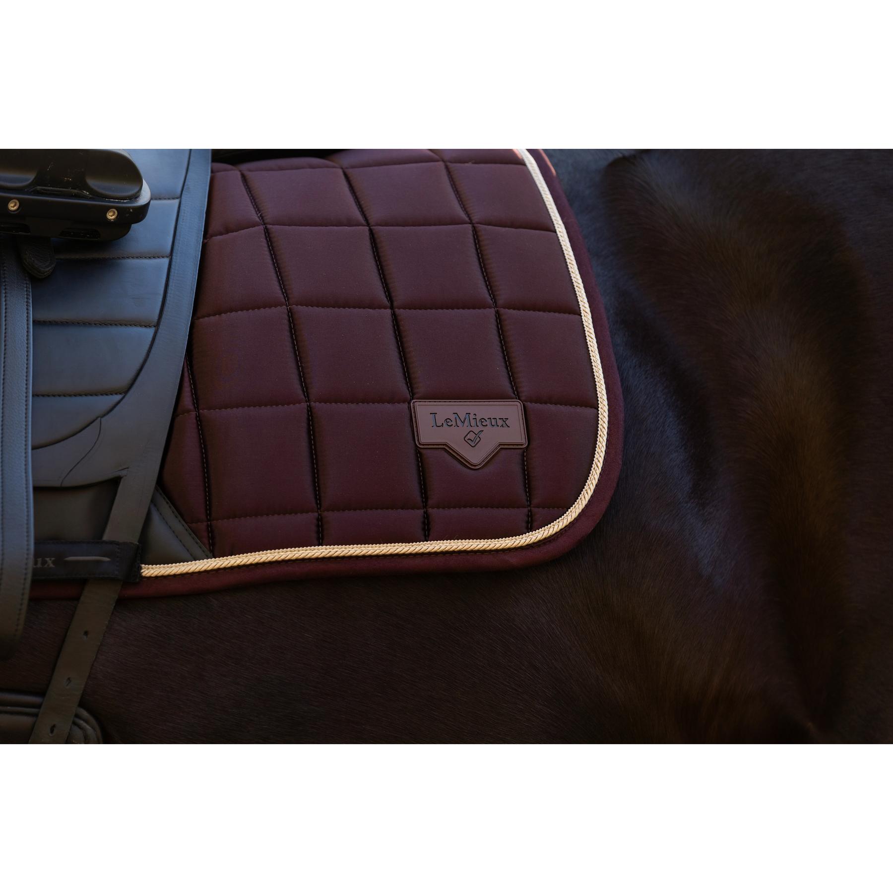 product/l/e/lemieux_it07099_011.jpg