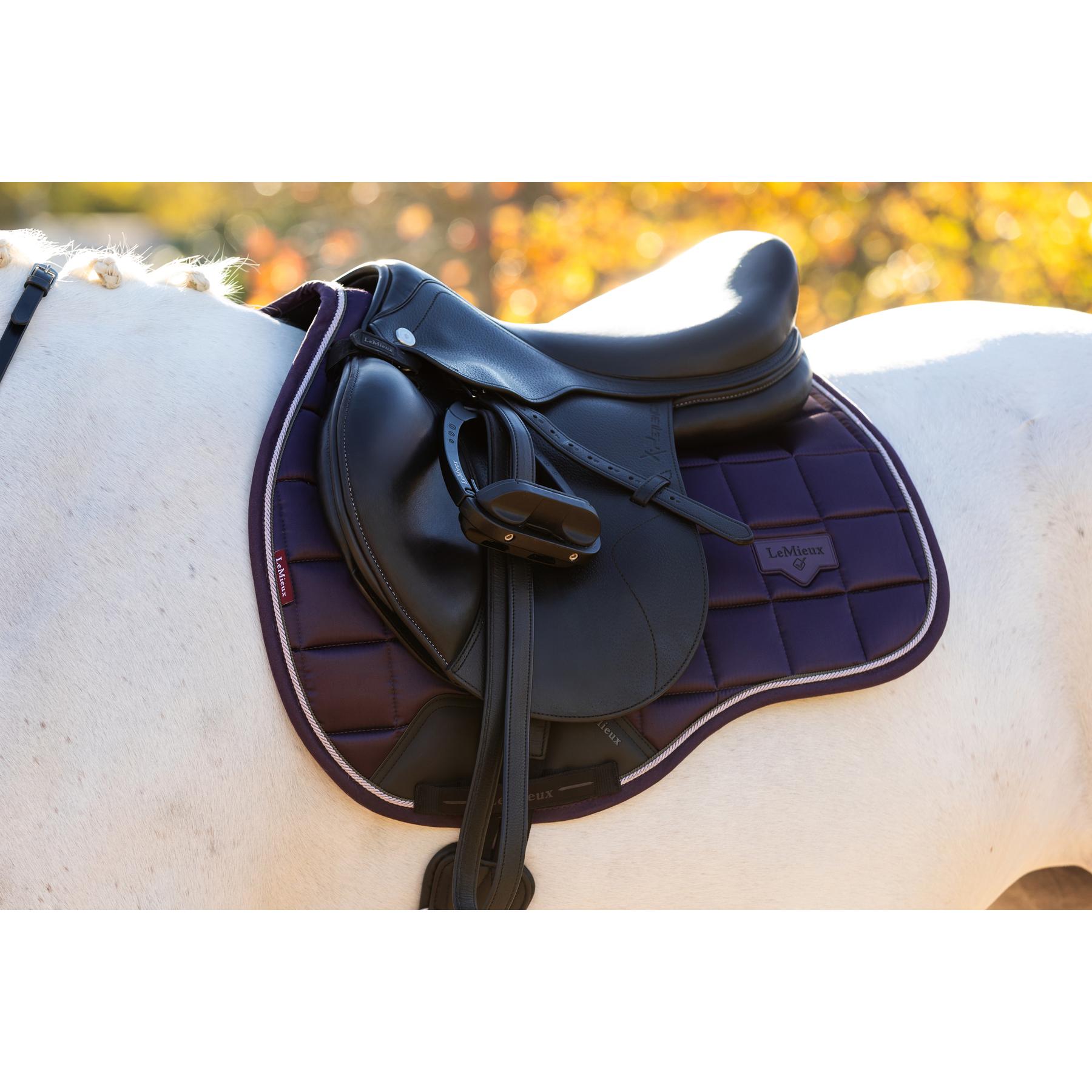 product/l/e/lemieux_it07105_006.jpg