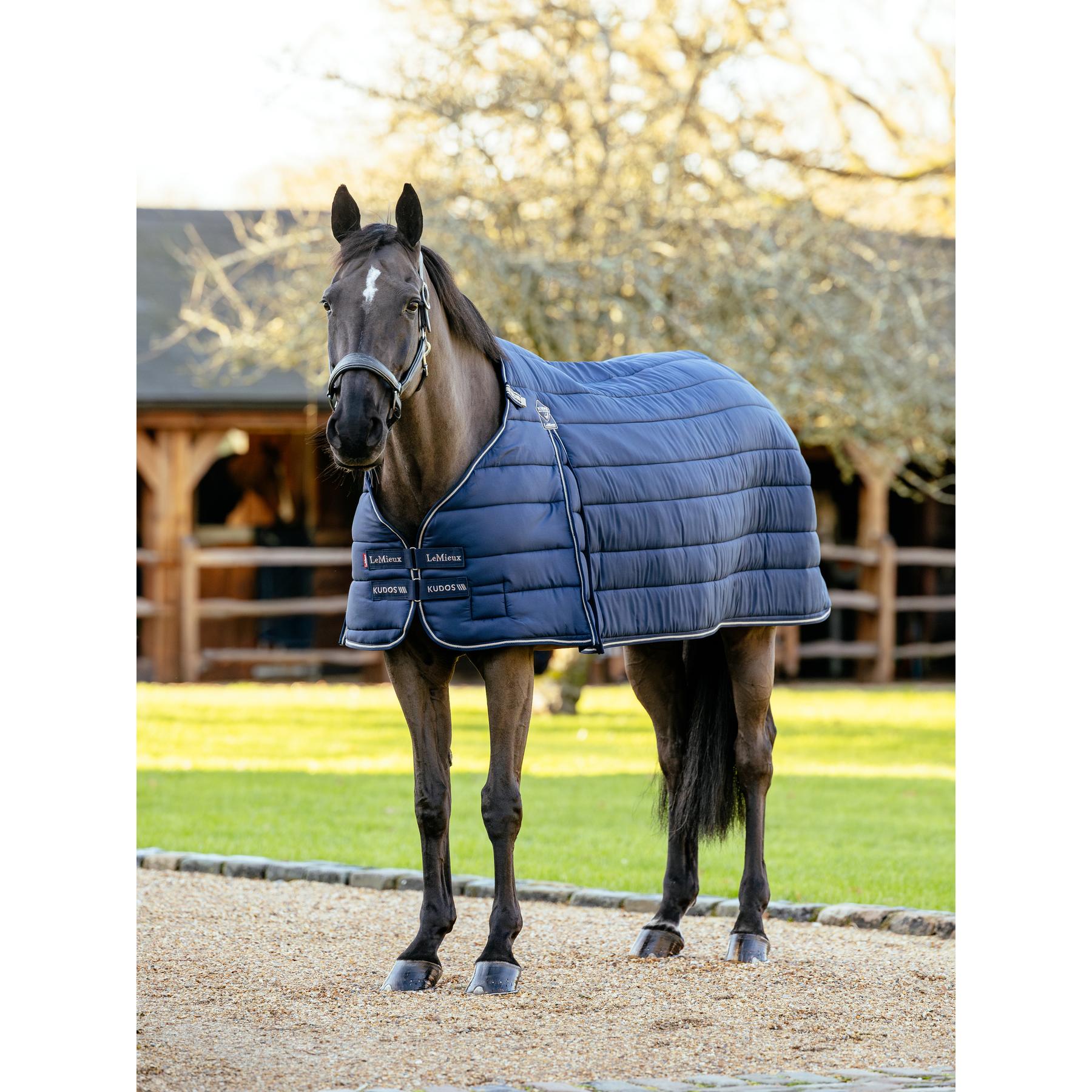 product/l/e/lemieux_it08141_003.jpg