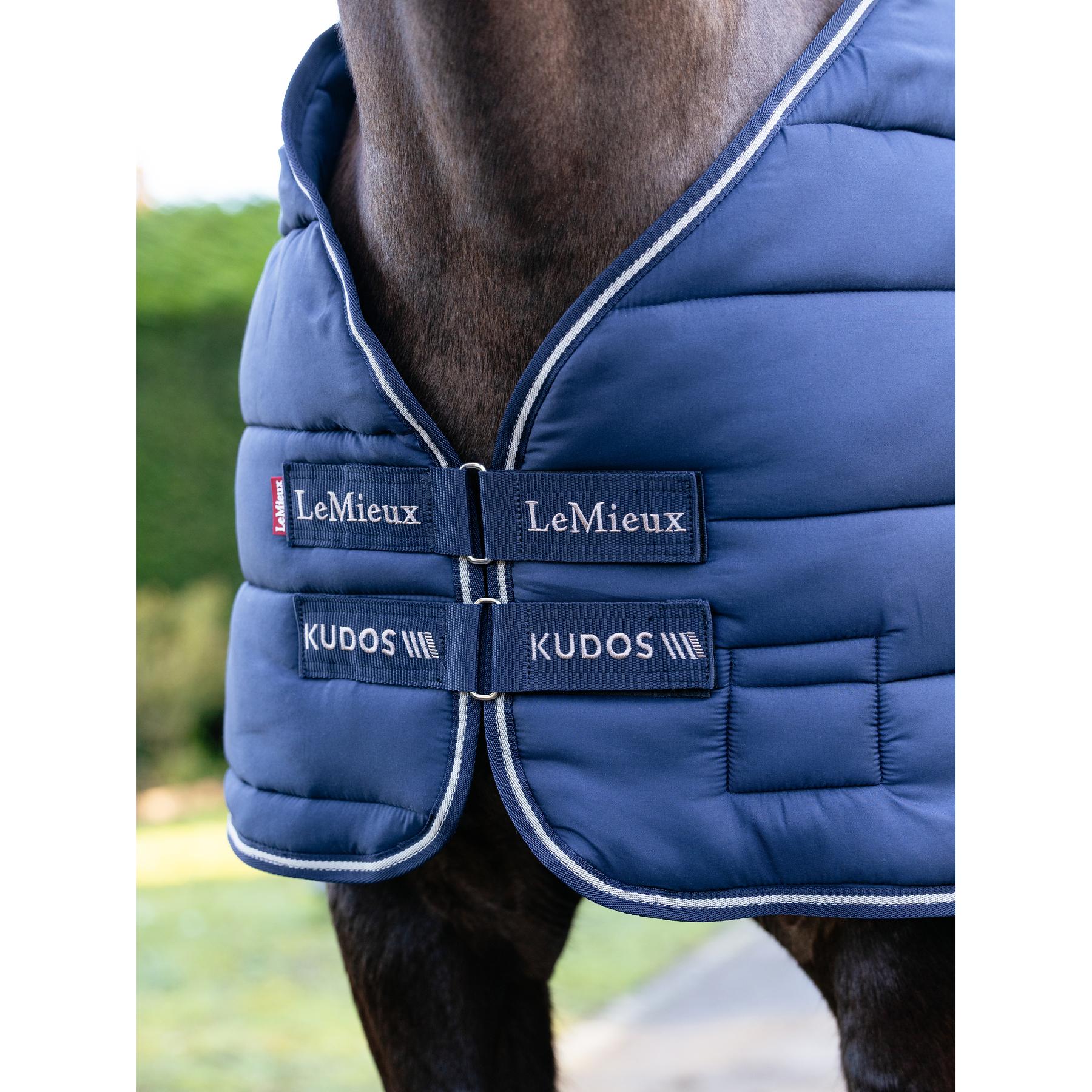 product/l/e/lemieux_it08141_004.jpg
