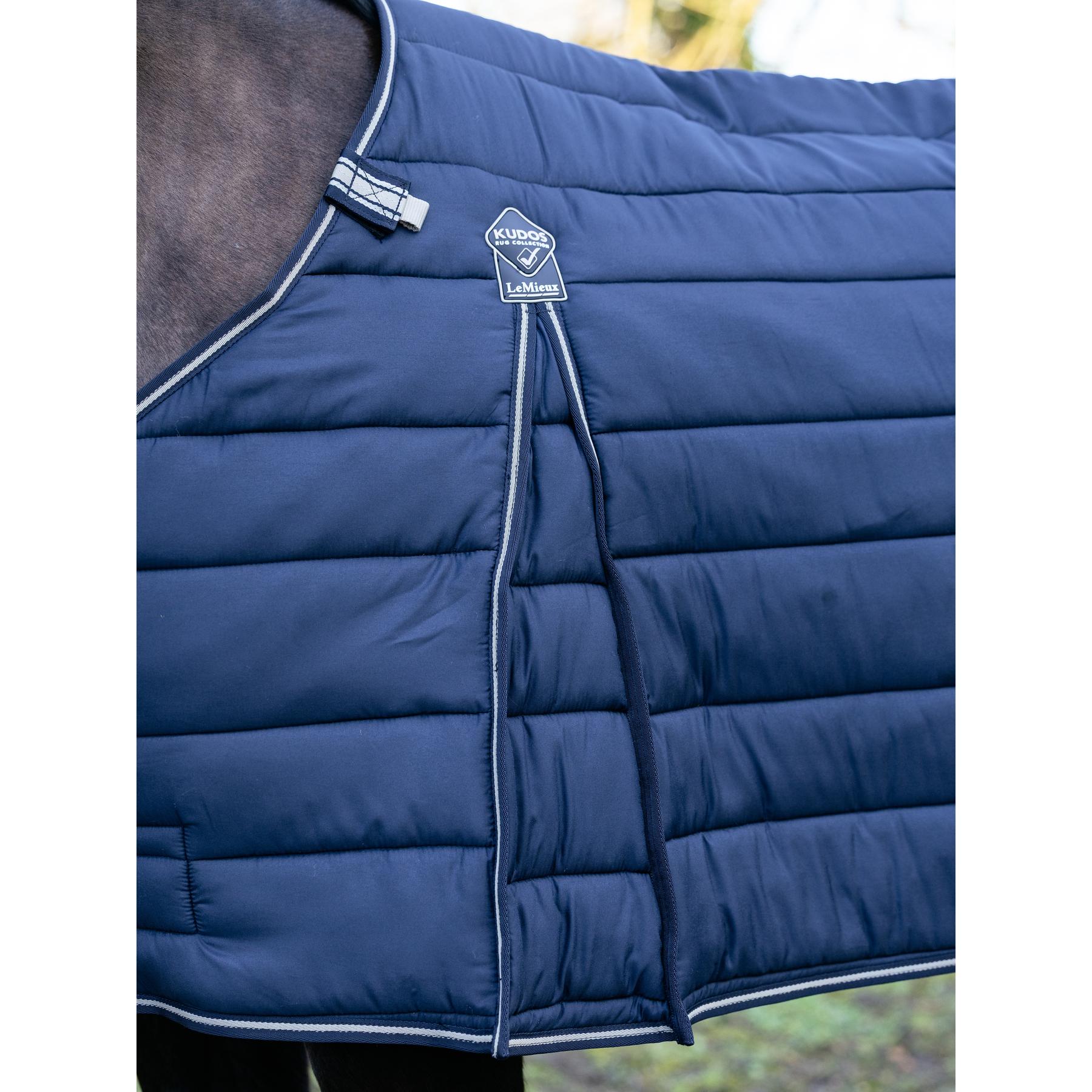 product/l/e/lemieux_it08141_006.jpg
