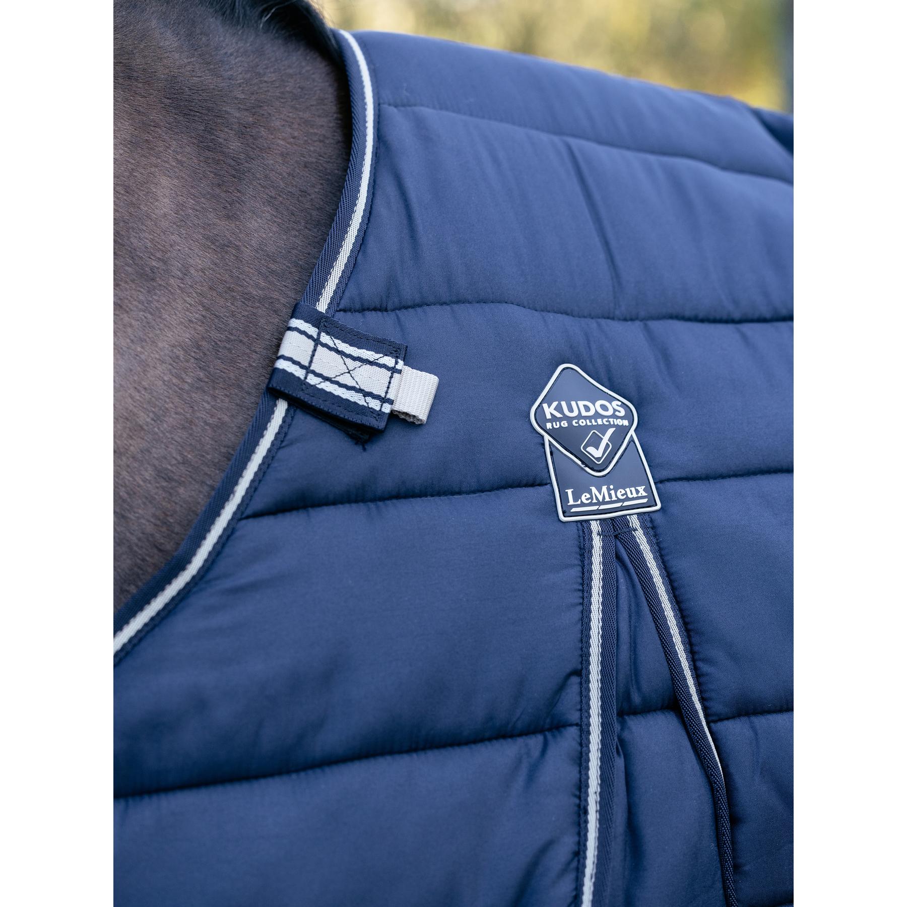 product/l/e/lemieux_it08141_008.jpg