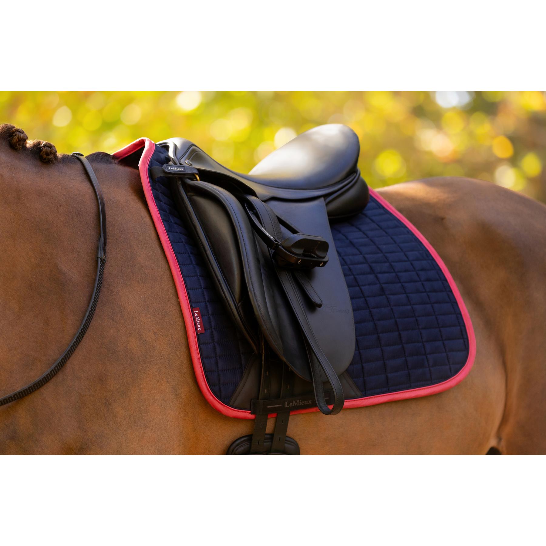 product/l/e/lemieux_it08145_004.jpg